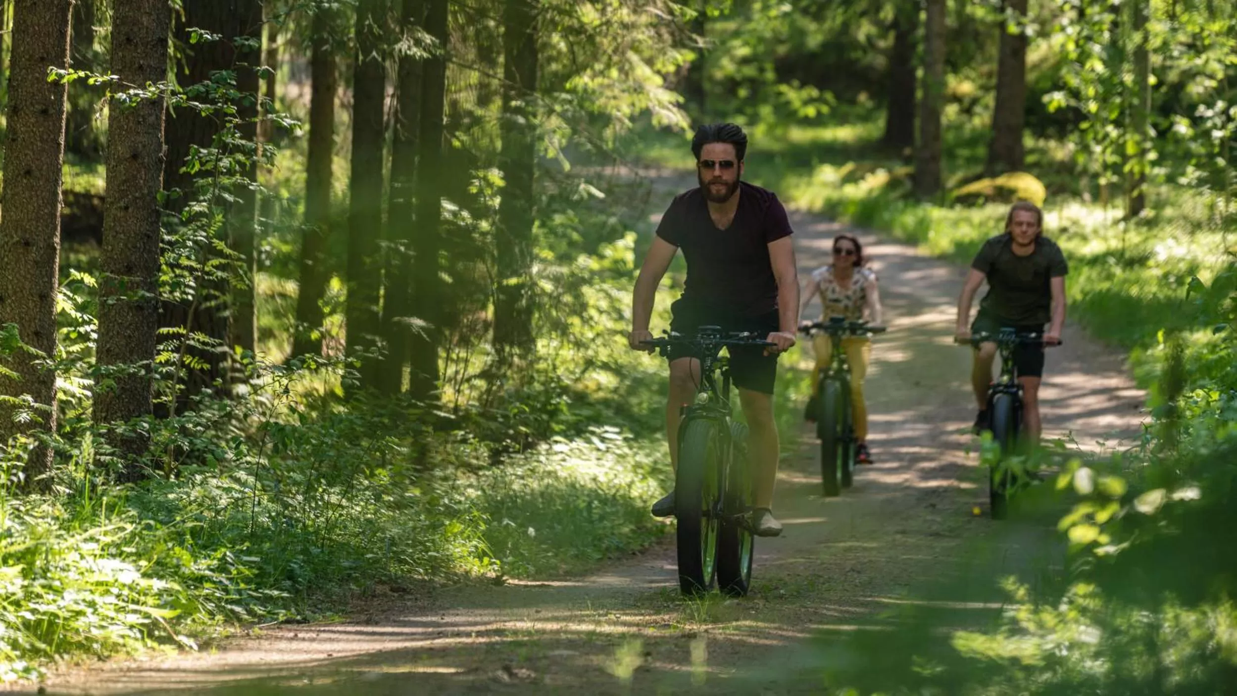 Activities in Olo Center by Kolovesi National Park