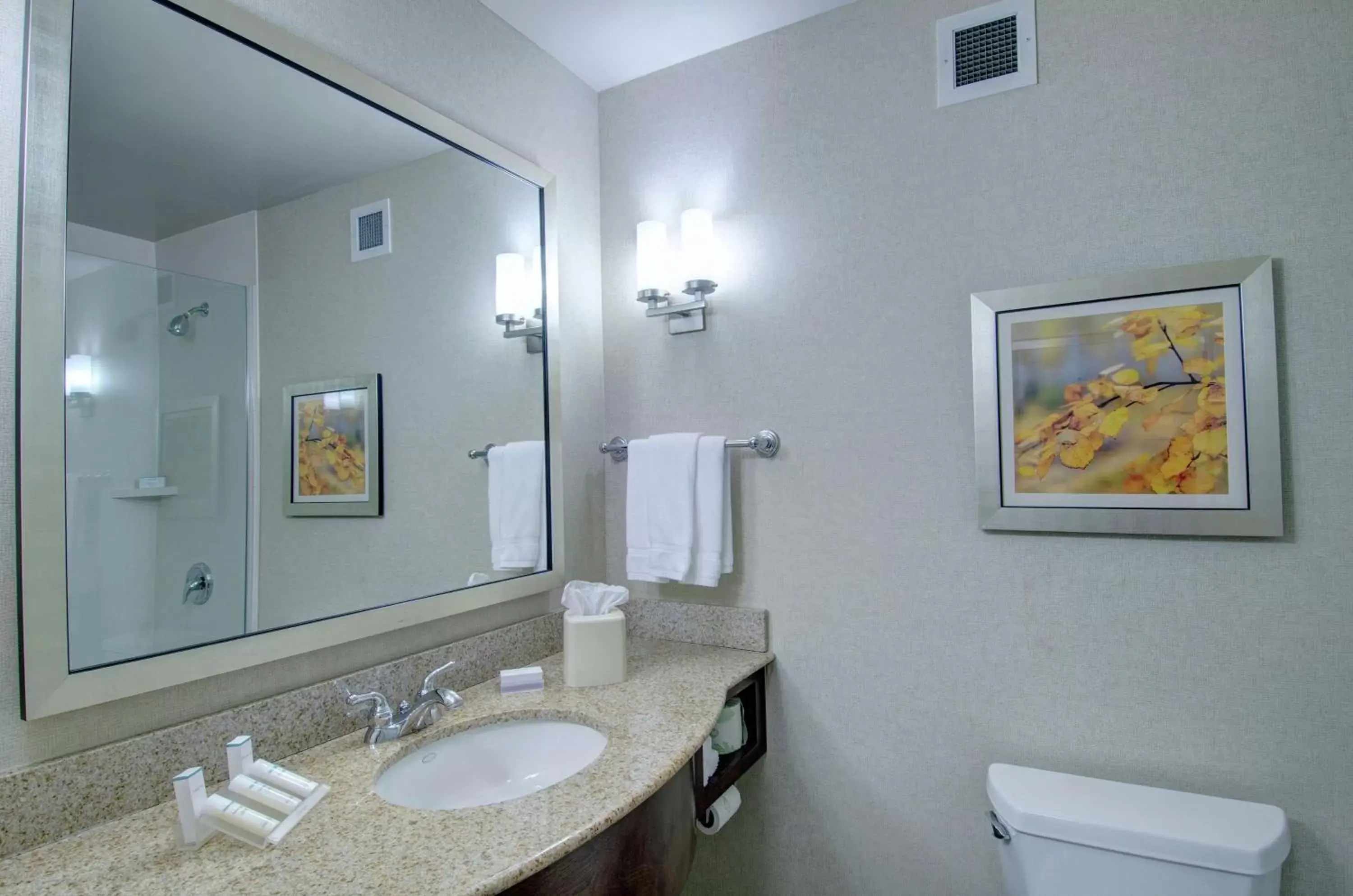 Bathroom in Hilton Garden Inn Norwalk