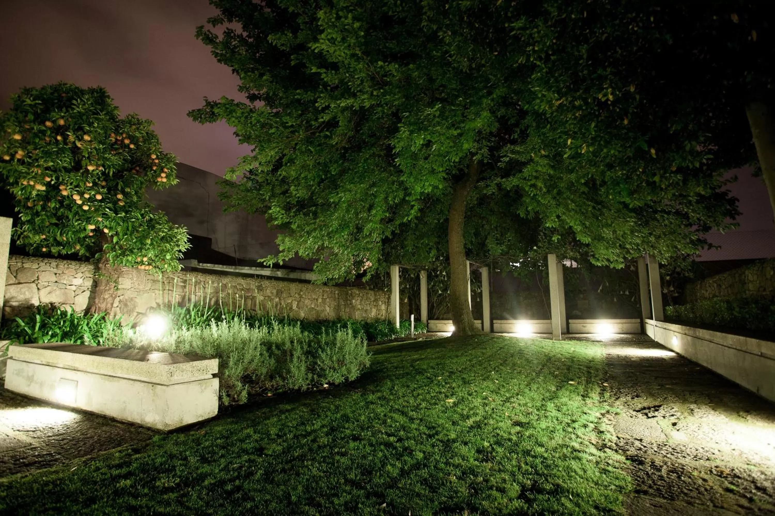 Garden in Hotel Bracara Augusta