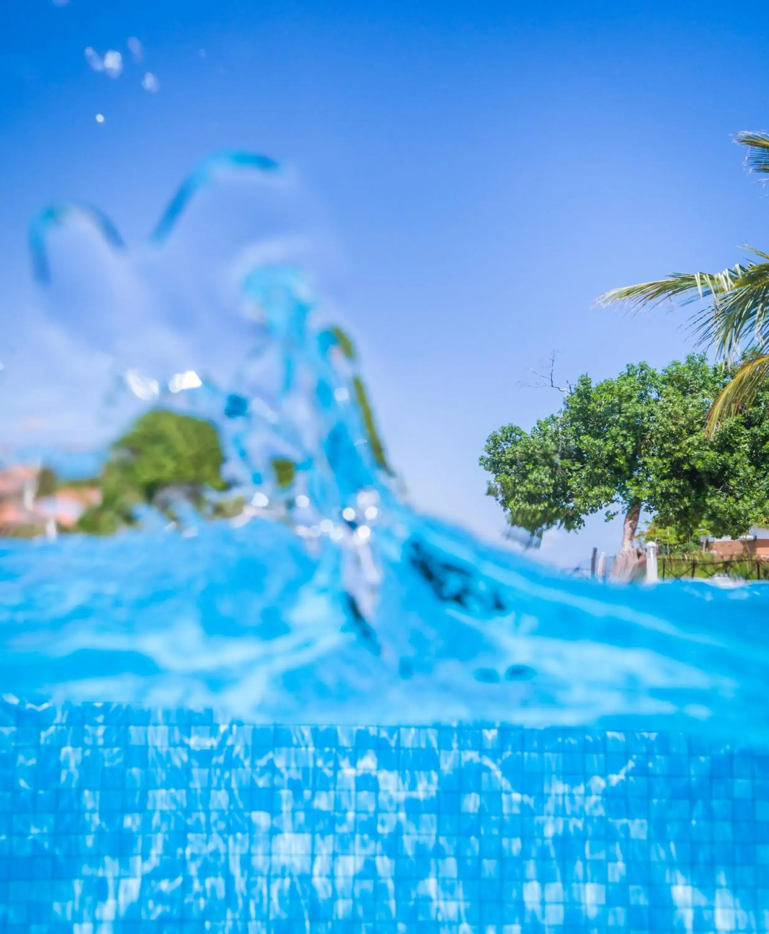 Swimming pool, Winter in Azao Resort & Spa