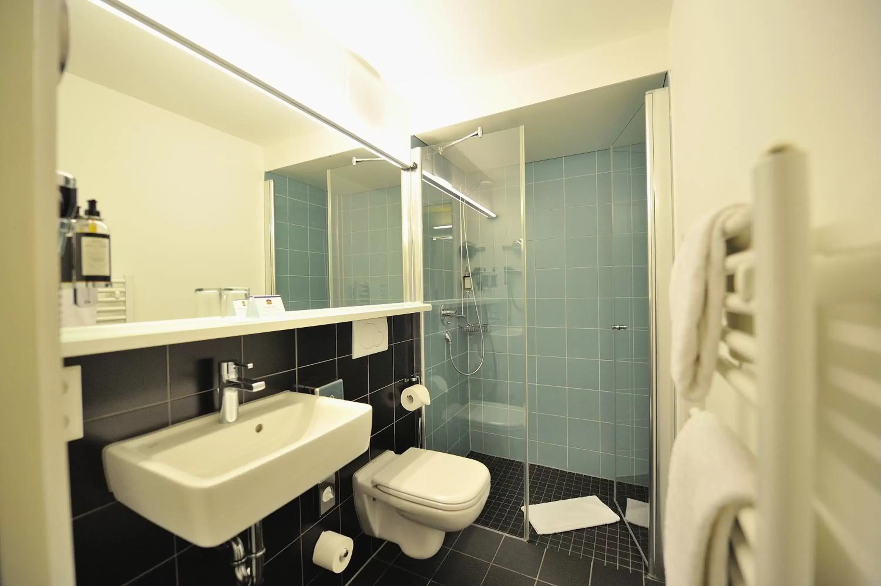 Toilet, Bathroom in Best Western Plus BierKulturHotel Schwanen