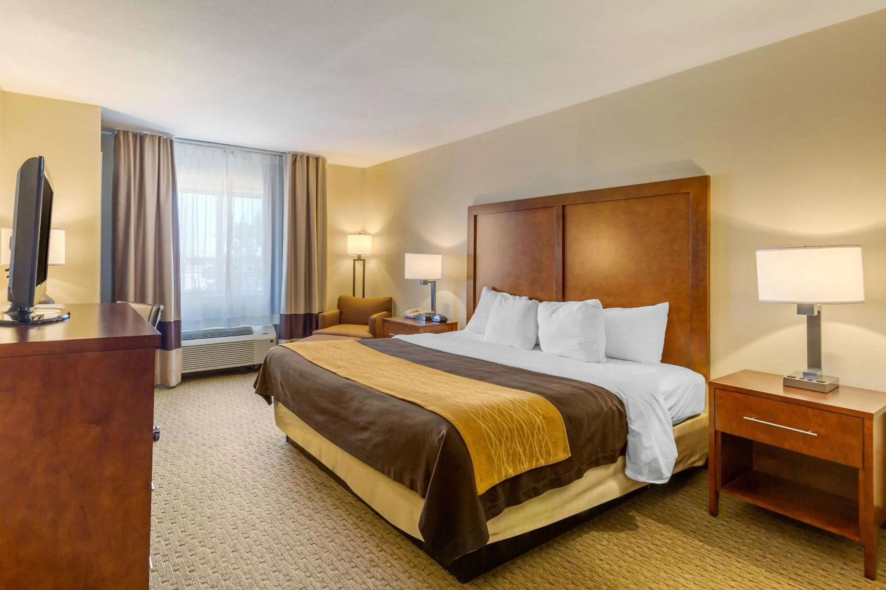 King Room - Accessible (Roll In Shower)-Non-Smoking in Comfort Inn Red Horse Frederick