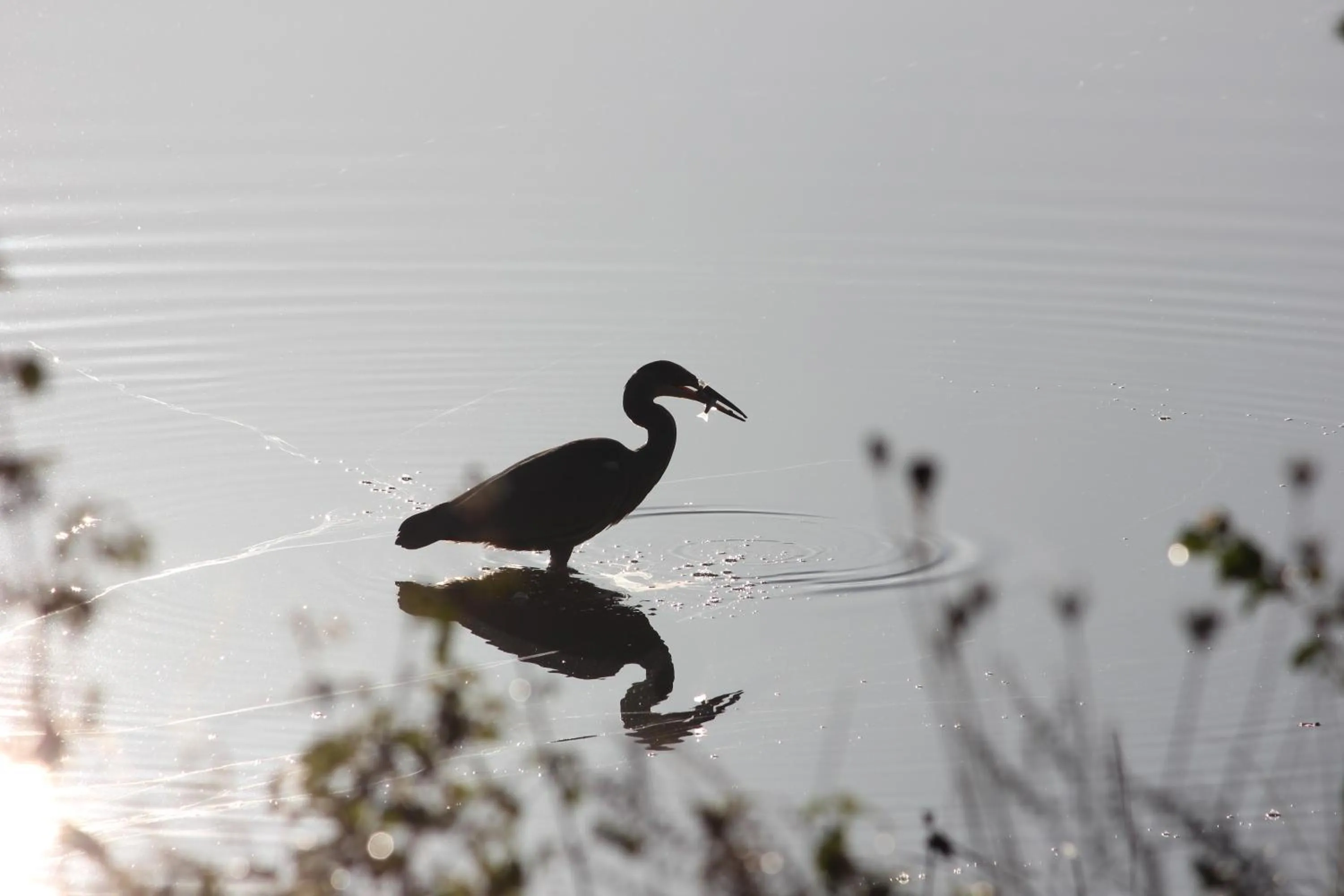 View (from property/room) in Lakeside Park Hotel & Spa