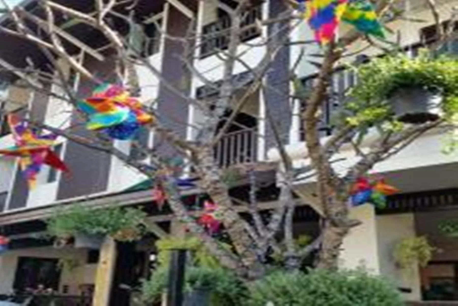 Balcony/Terrace in BB Mantra Boutique Hotel