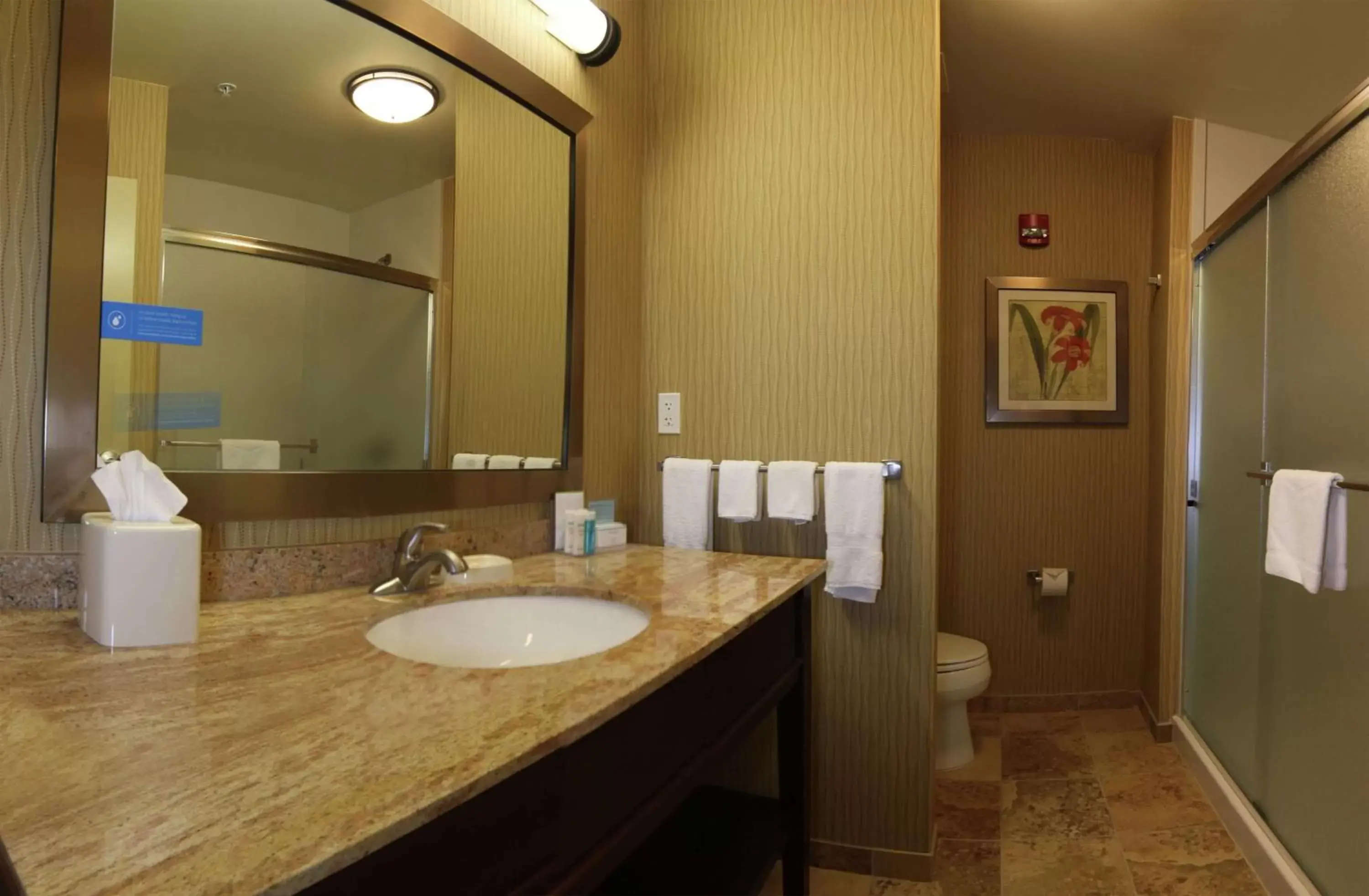 Bathroom in Hampton Inn & Suites Grand Forks