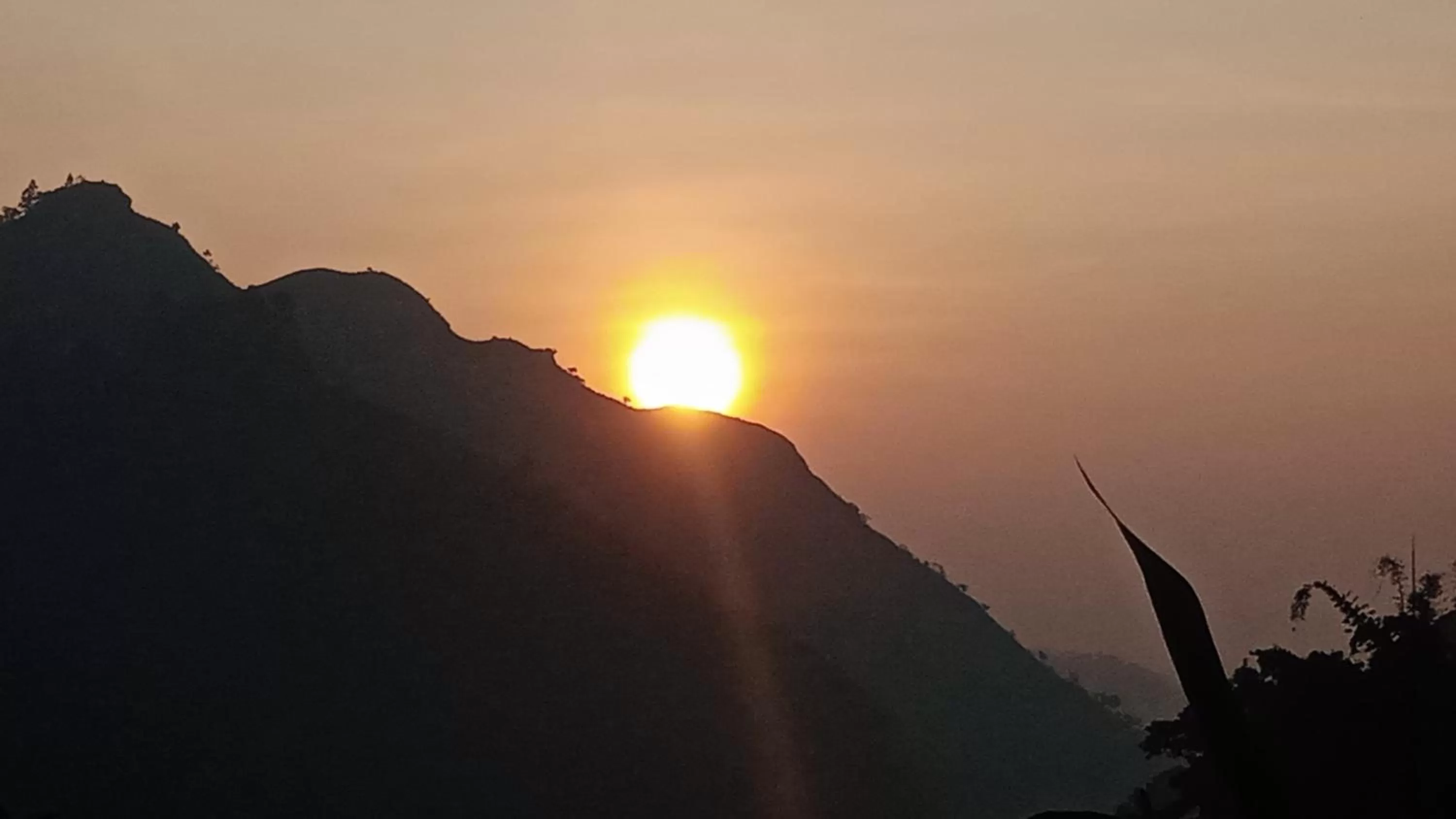 Ella Lucky Panoramic