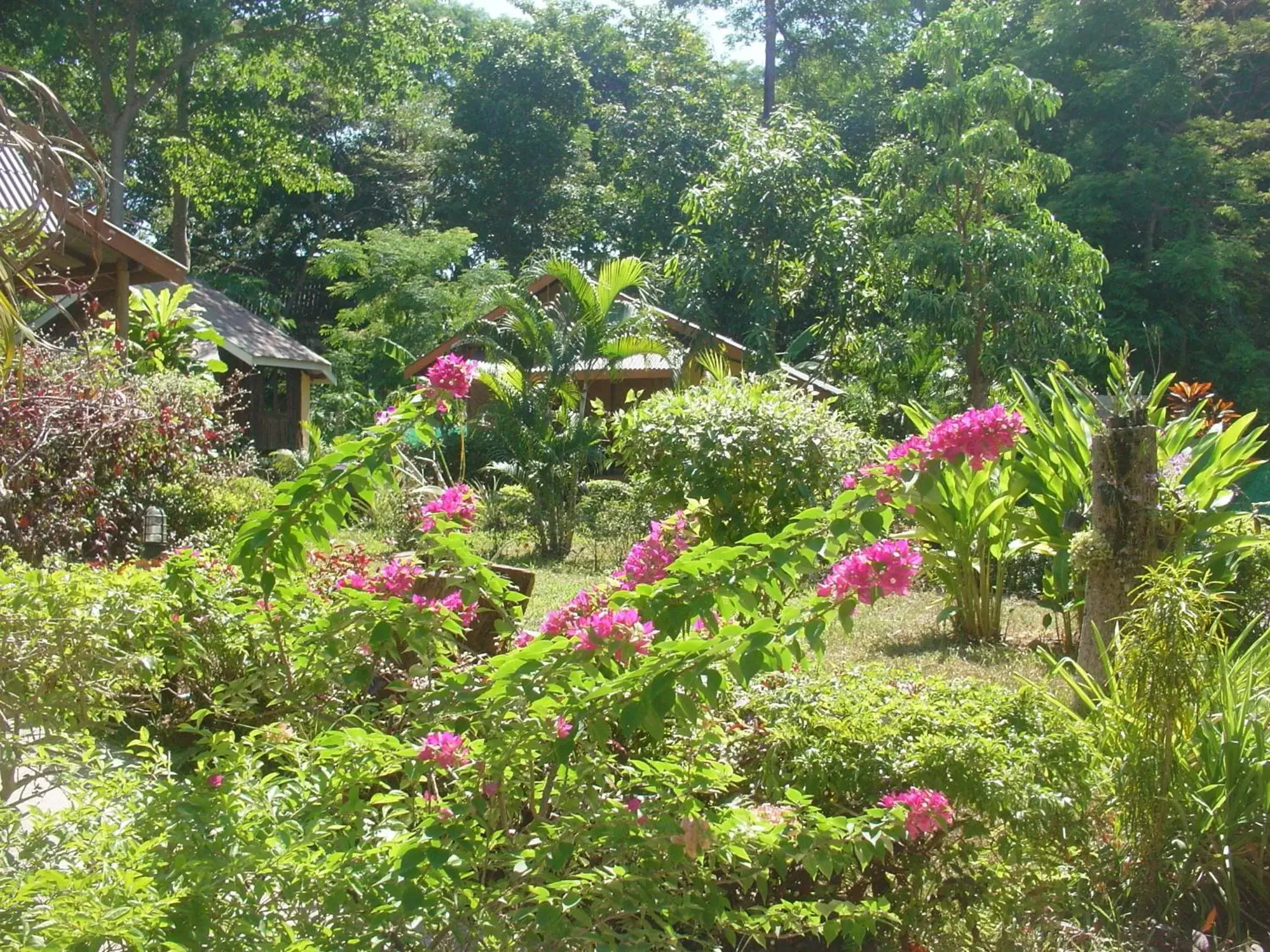 Garden in Faye Orchid Garden Resort