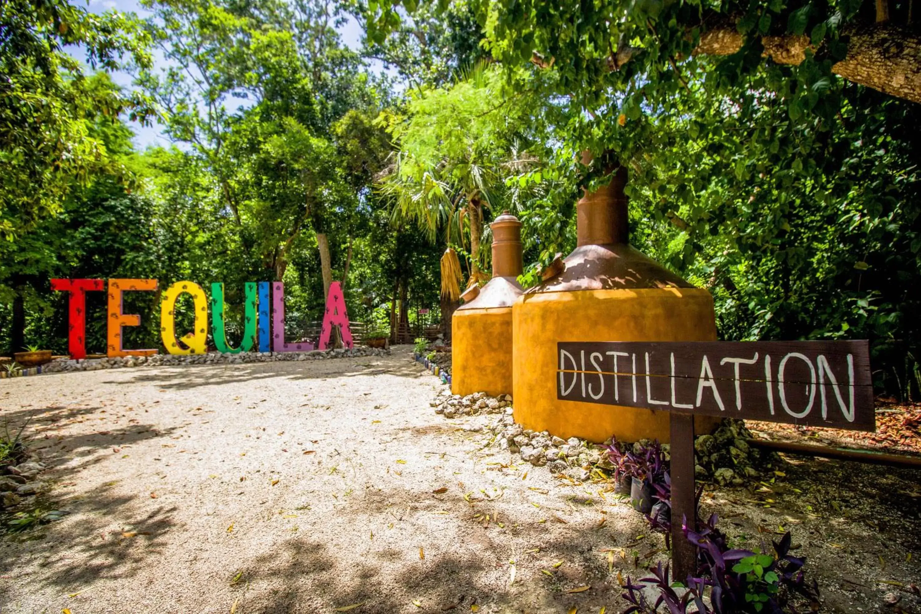 Property building, Property Logo/Sign in Hotel Tequila Cancun