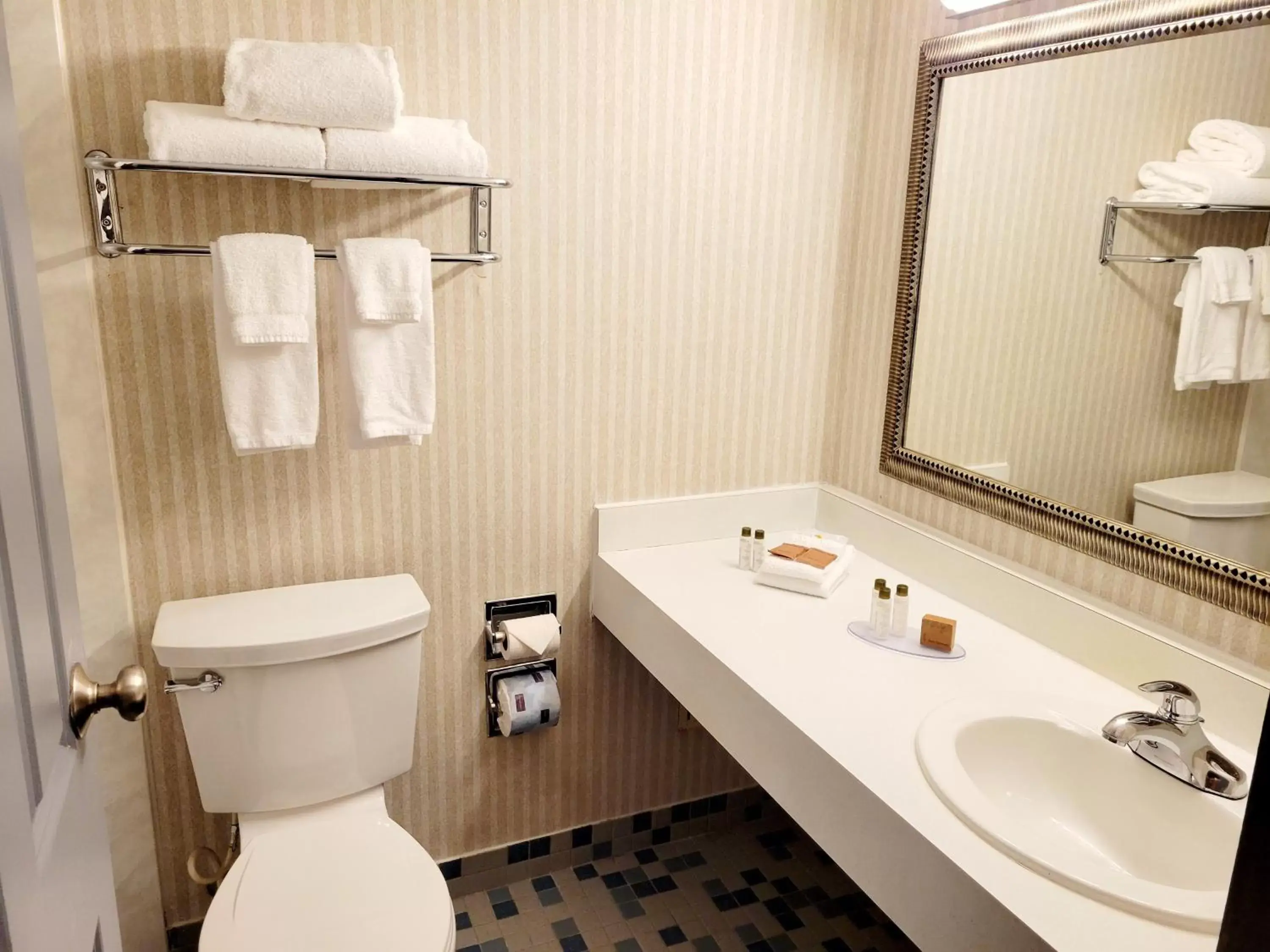 Toilet, Bathroom in Bangor Grande Hotel