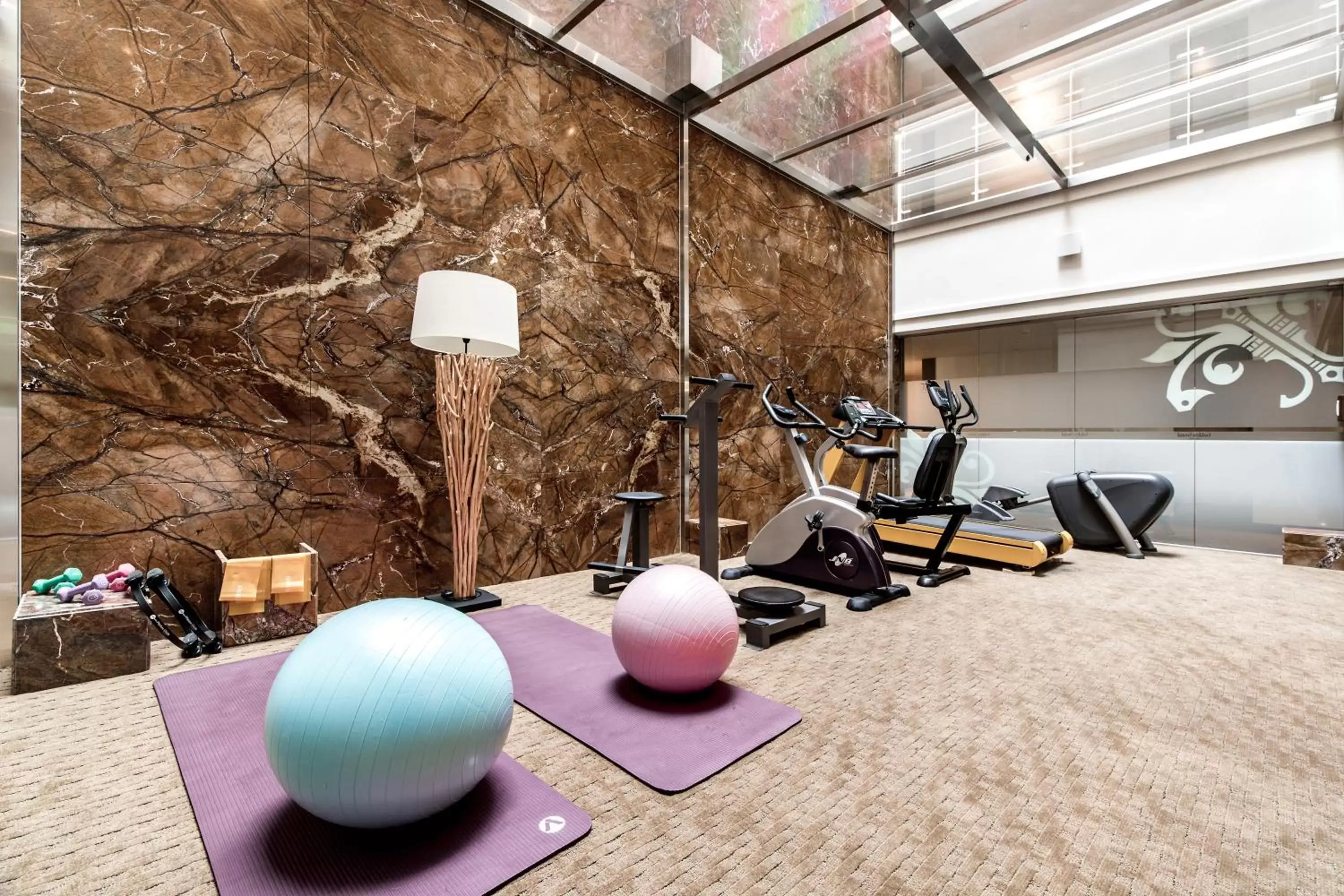 Fitness centre/facilities, Fitness Center/Facilities in Golden Seoul Hotel