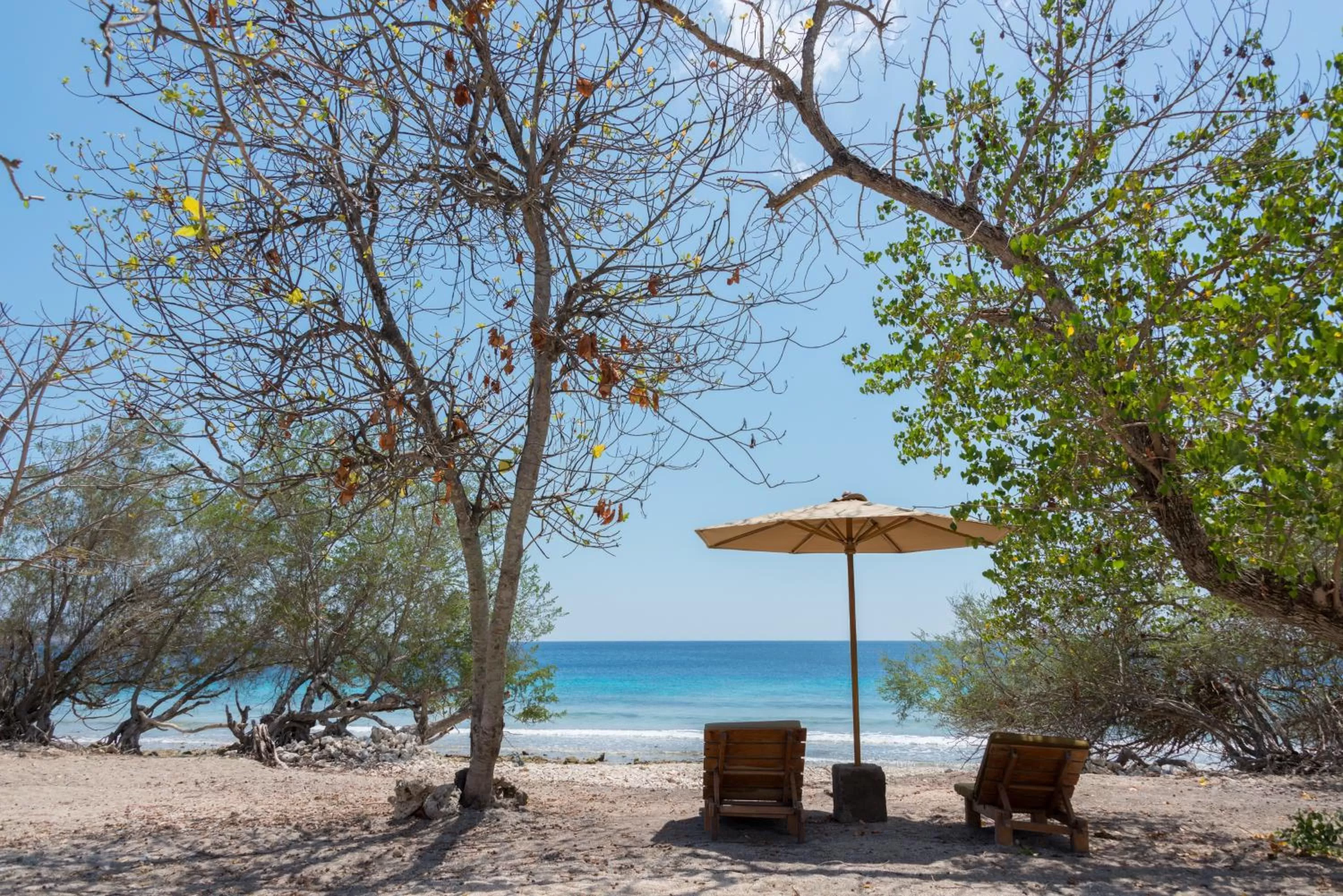 Beach in NusaBay Menjangan