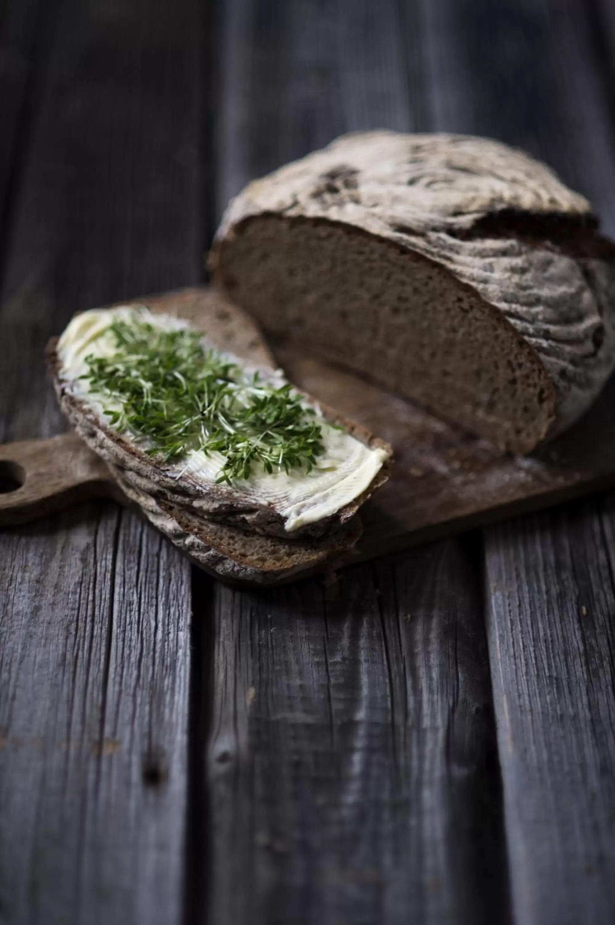 Food close-up in 1477 Reichhalter