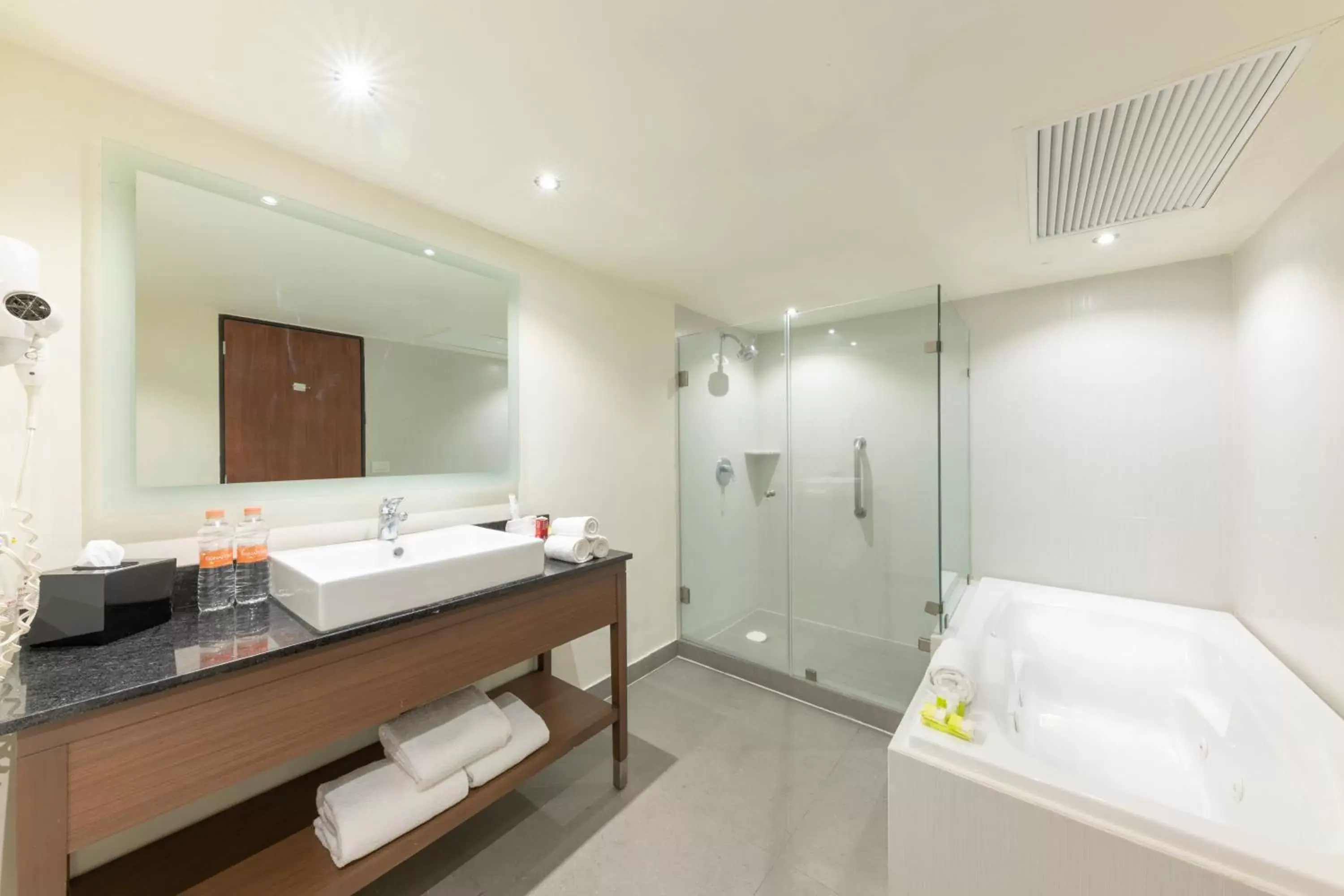 Photo of the whole room, Bathroom in Holiday Inn Guadalajara Expo Plaza del Sol, an IHG Hotel