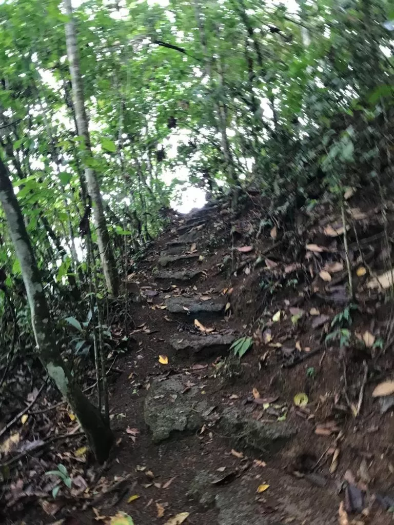 Hiking in Hotel Green Mountain turrialba