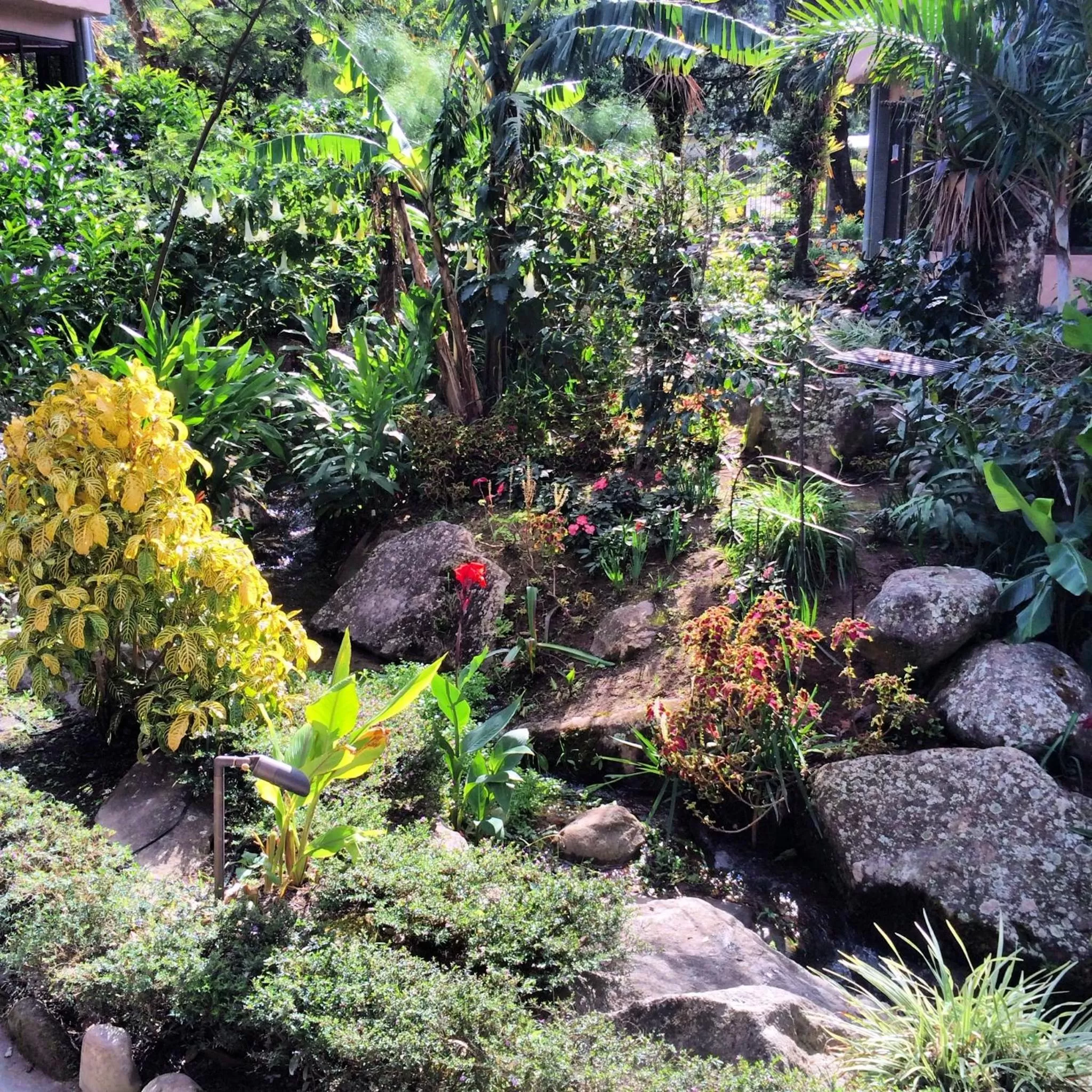 Garden in The Inn at Palo Alto
