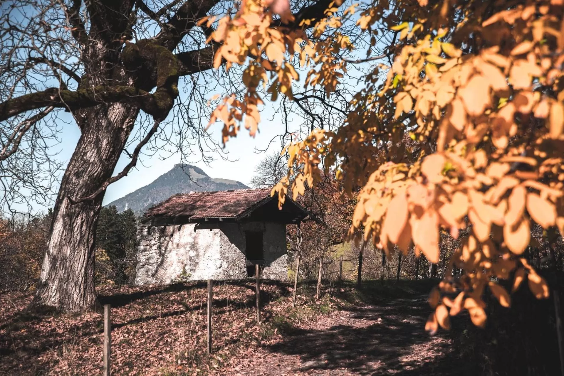 Your Home - City Apartment in Kufstein