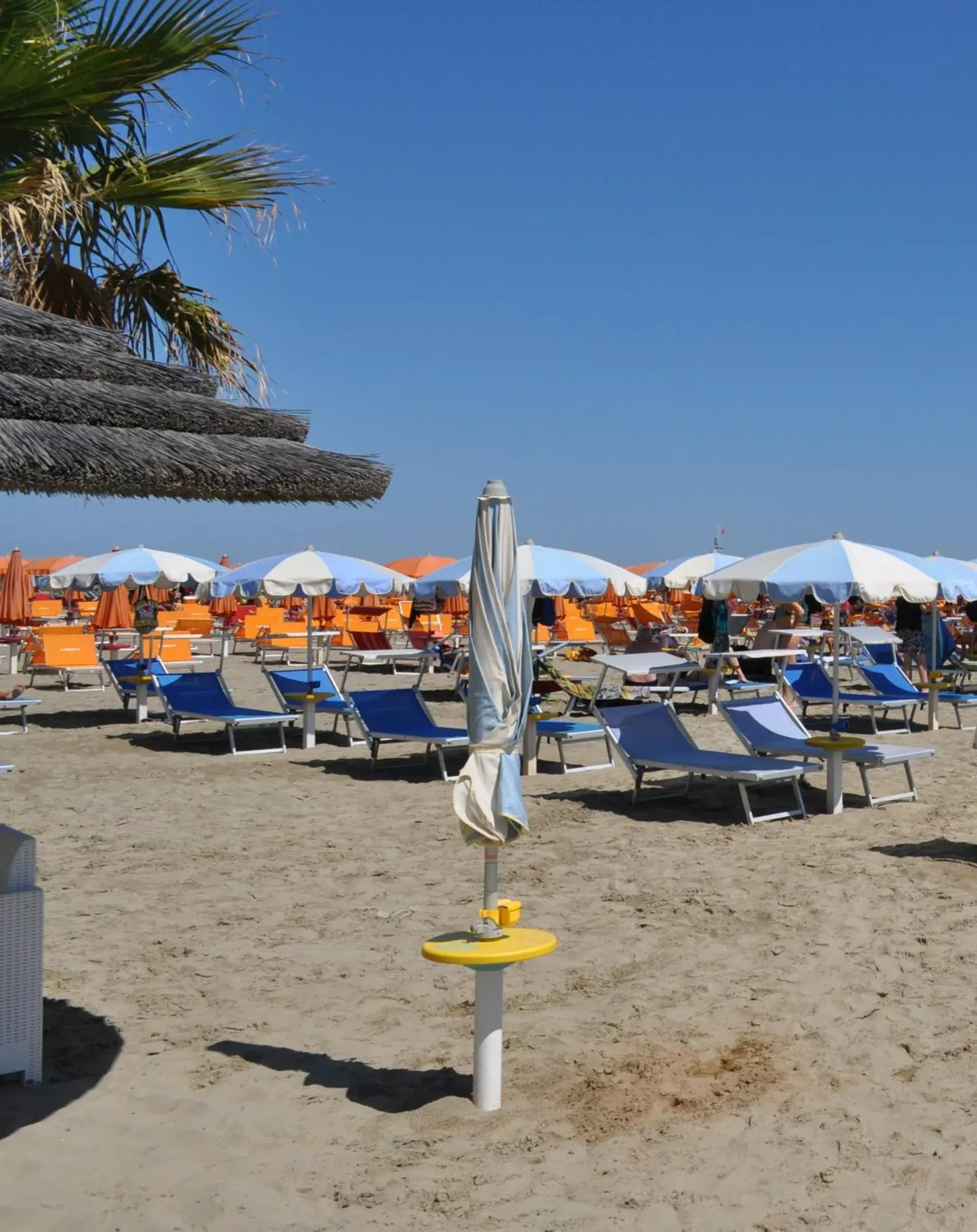 Beach in HOTEL ADRIA BEACH