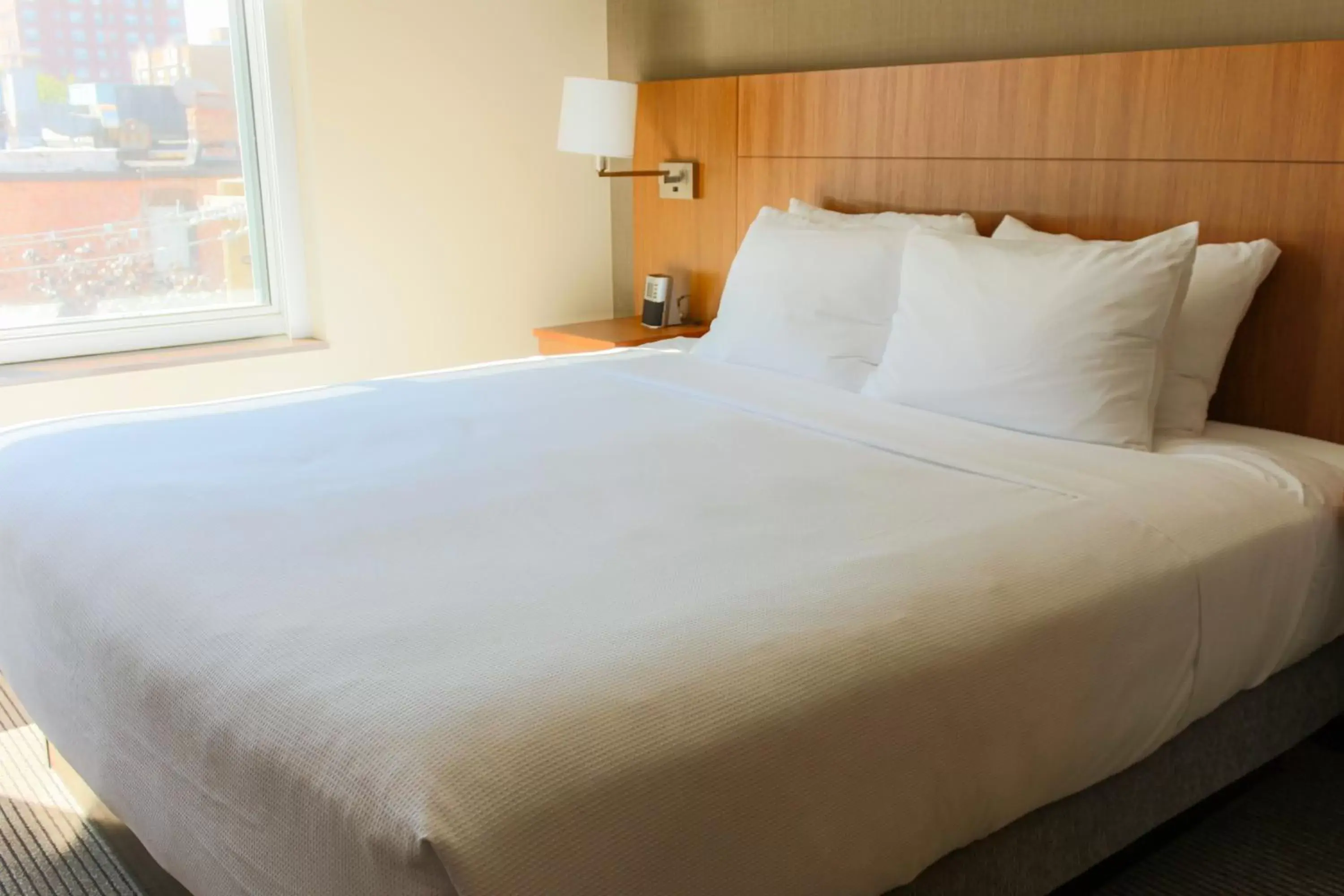 King Room with Sofa Bed and Roll-In Shower - Disability Access in Hyatt Place Chicago-South/University Medical Center