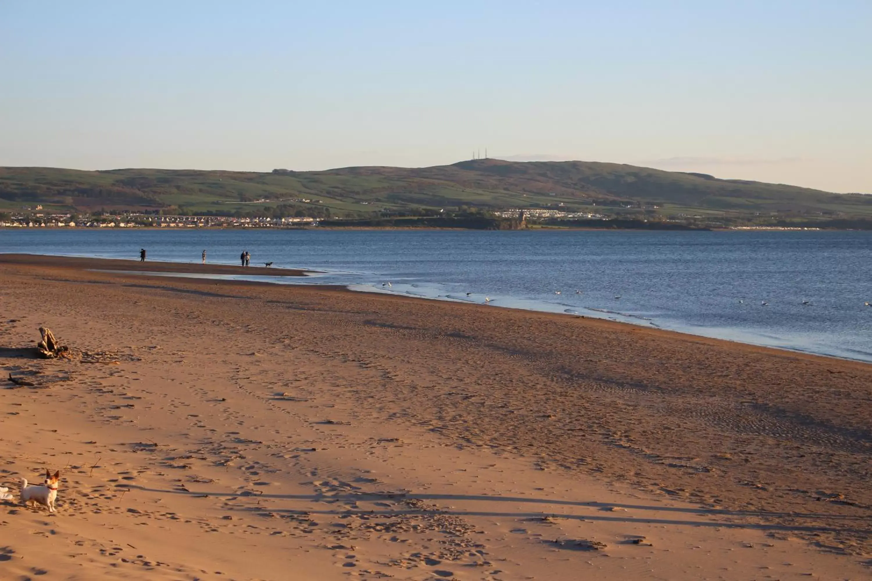 Beach in Horizon Hotel