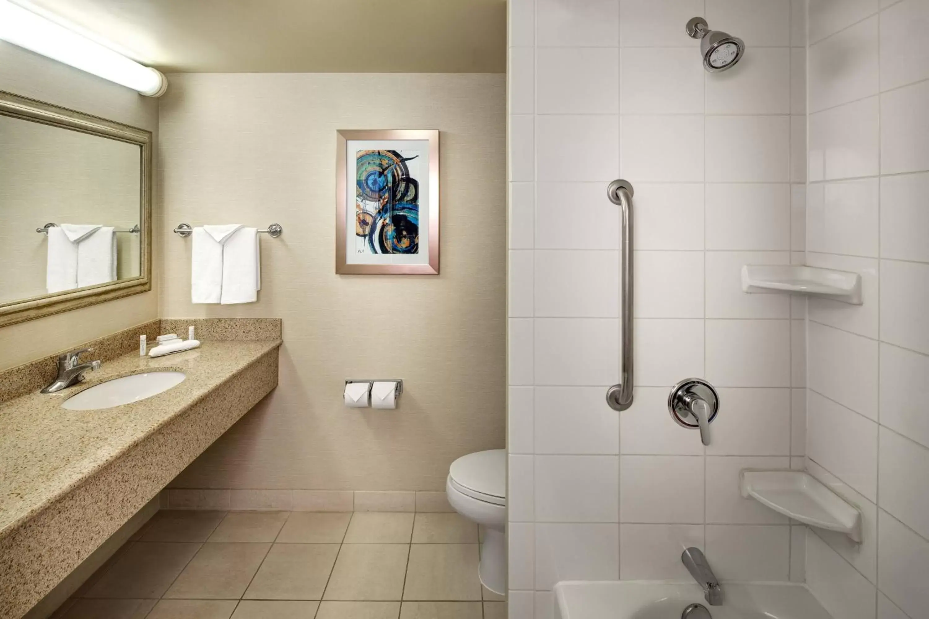 Bathroom in Fairfield Inn & Suites by Marriott Toronto Brampton