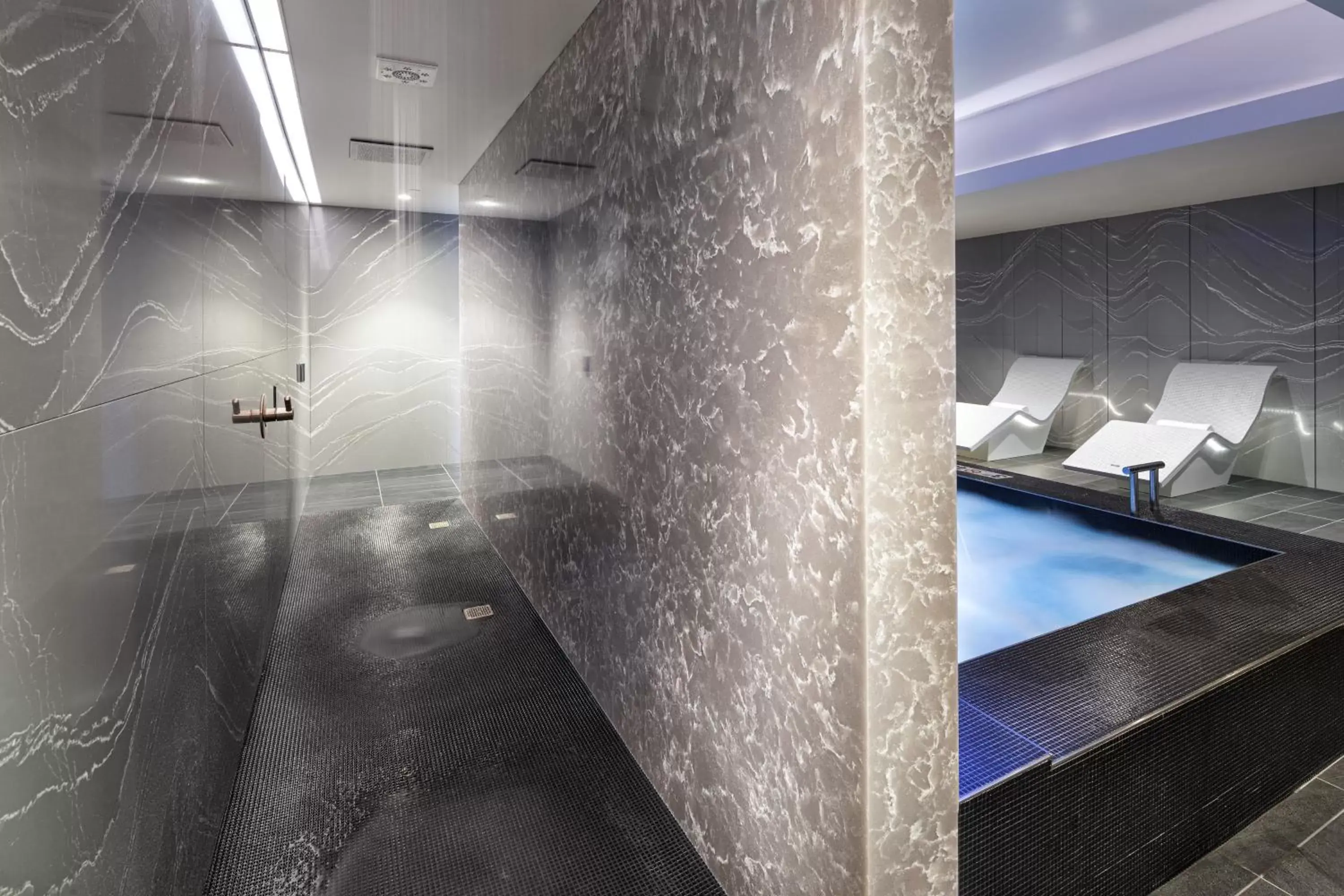 Spa and wellness centre/facilities, Swimming Pool in Hotel Ivy, a Luxury Collection Hotel, Minneapolis