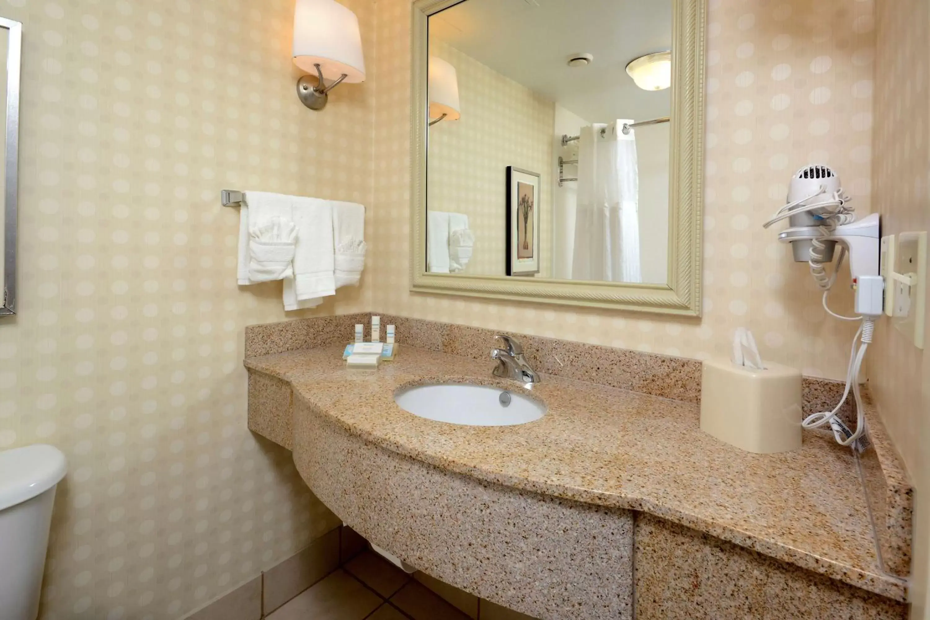 Bathroom in Hilton Garden Inn Greensboro