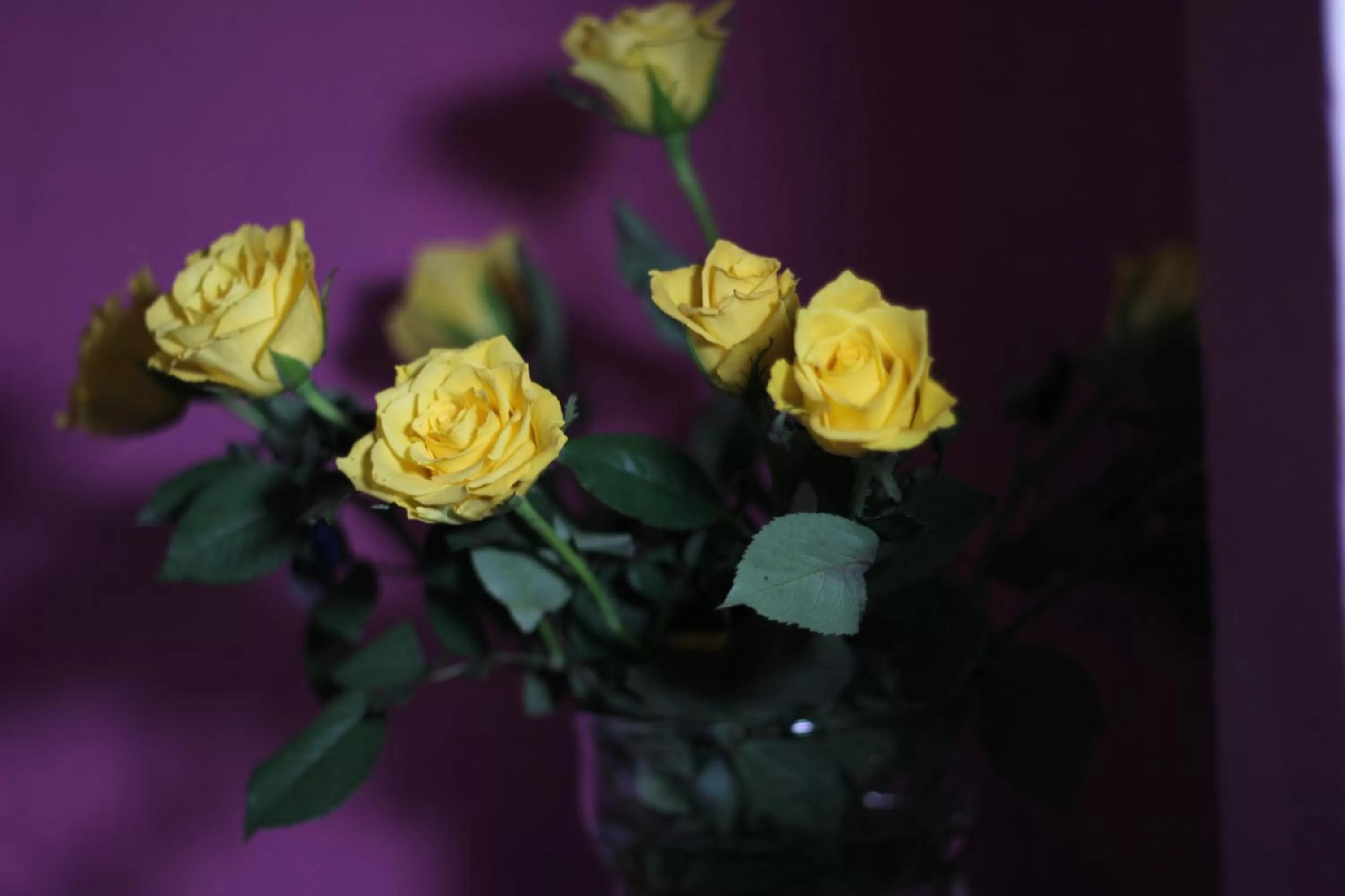 Decorative detail in Carlton Hotel