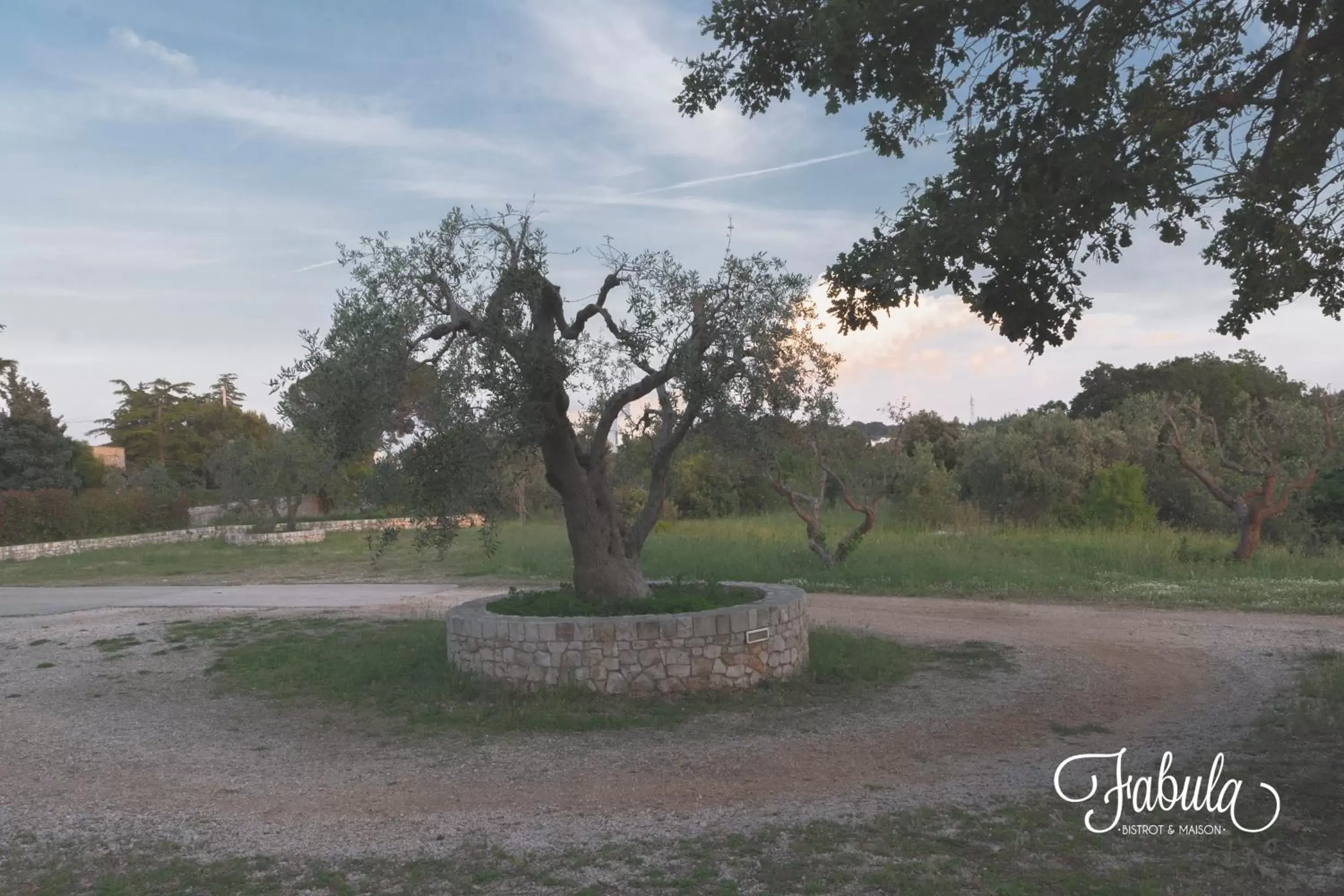 Garden in Masseria Fabula Bistrot & Maison