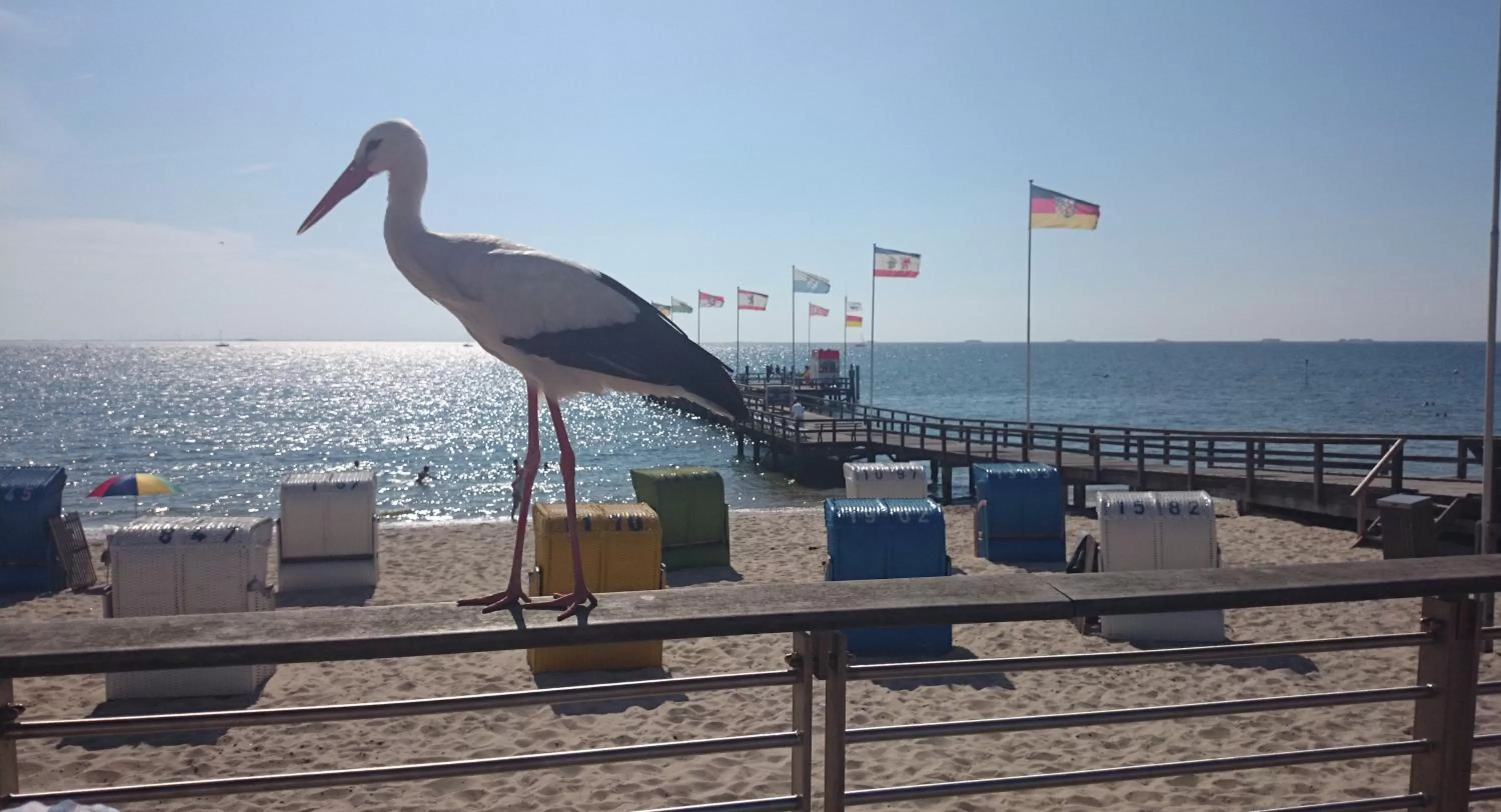 Day in Duus Hotel garni