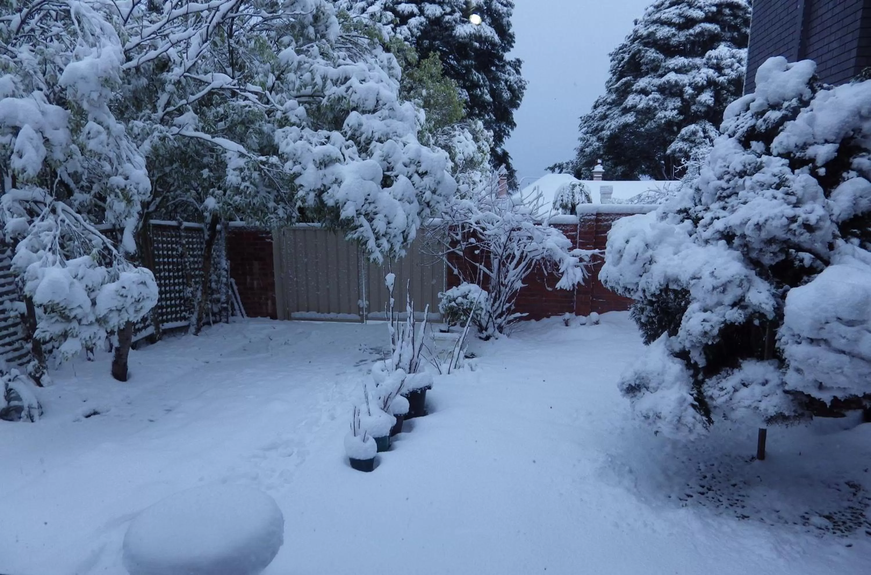 Garden view in Alpine Motor Inn