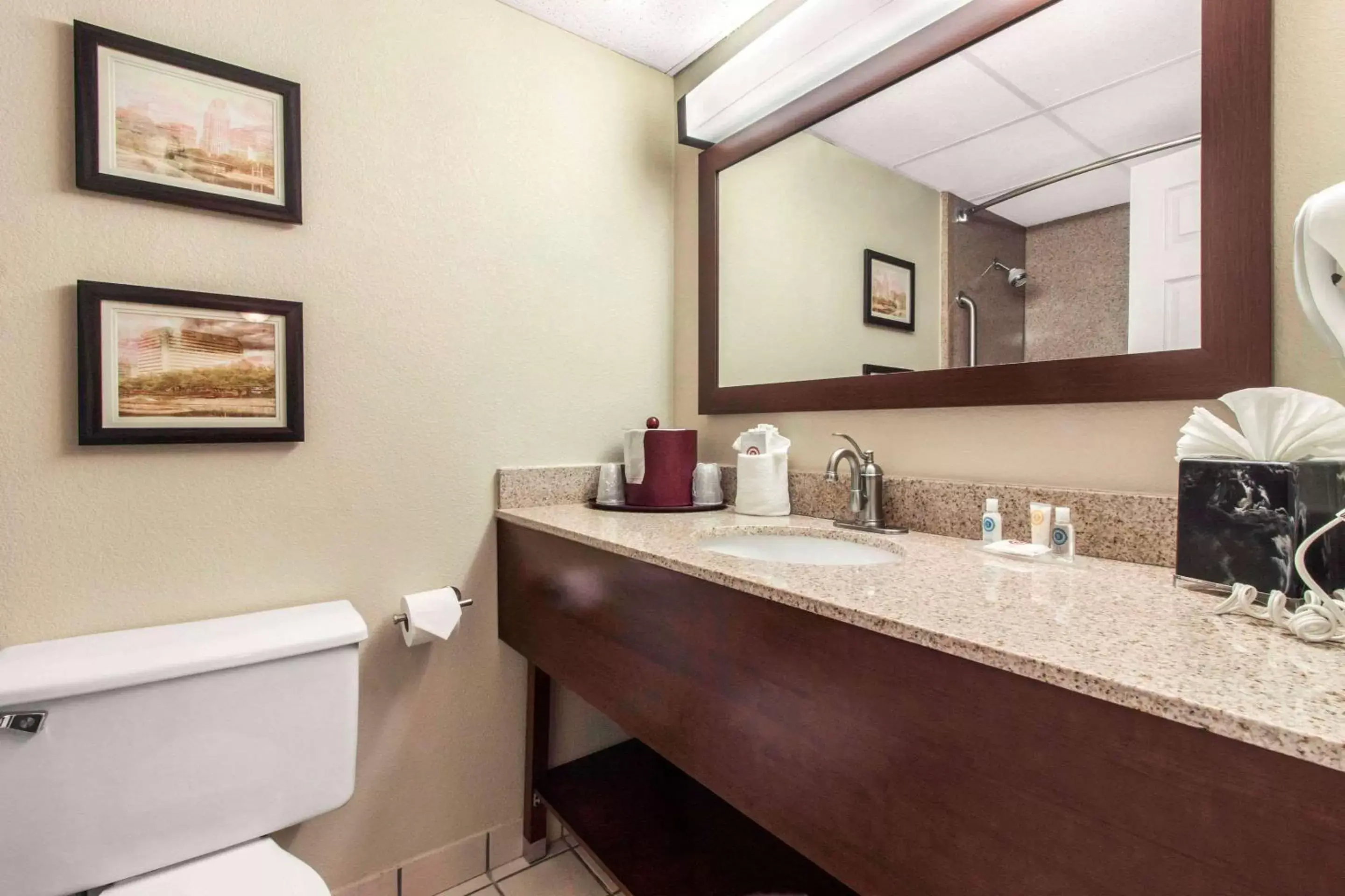 Bathroom in Comfort Inn & Suites Omaha