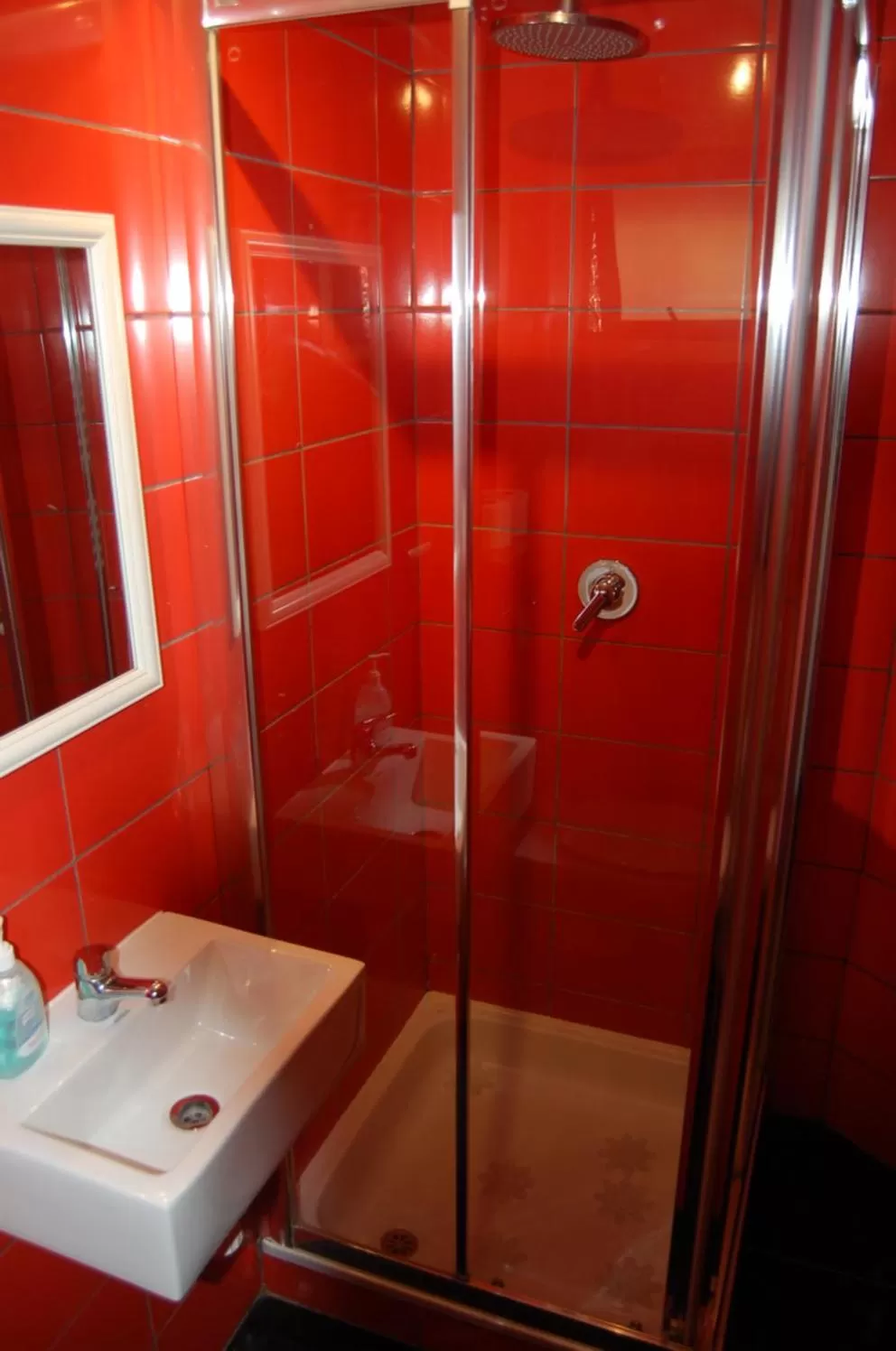 Shower, Bathroom in French Andes Apart Hostel