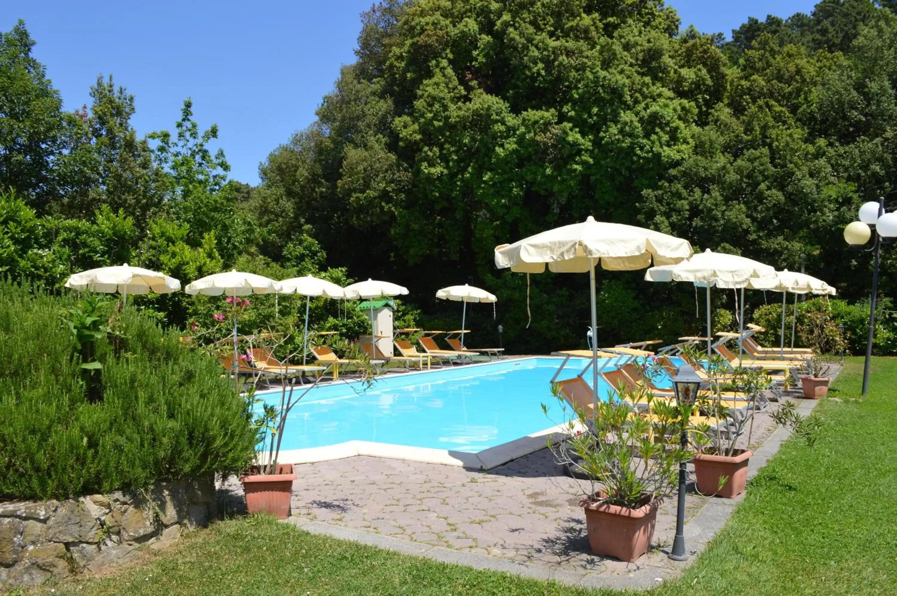 Garden, Swimming Pool in Hotel Monti