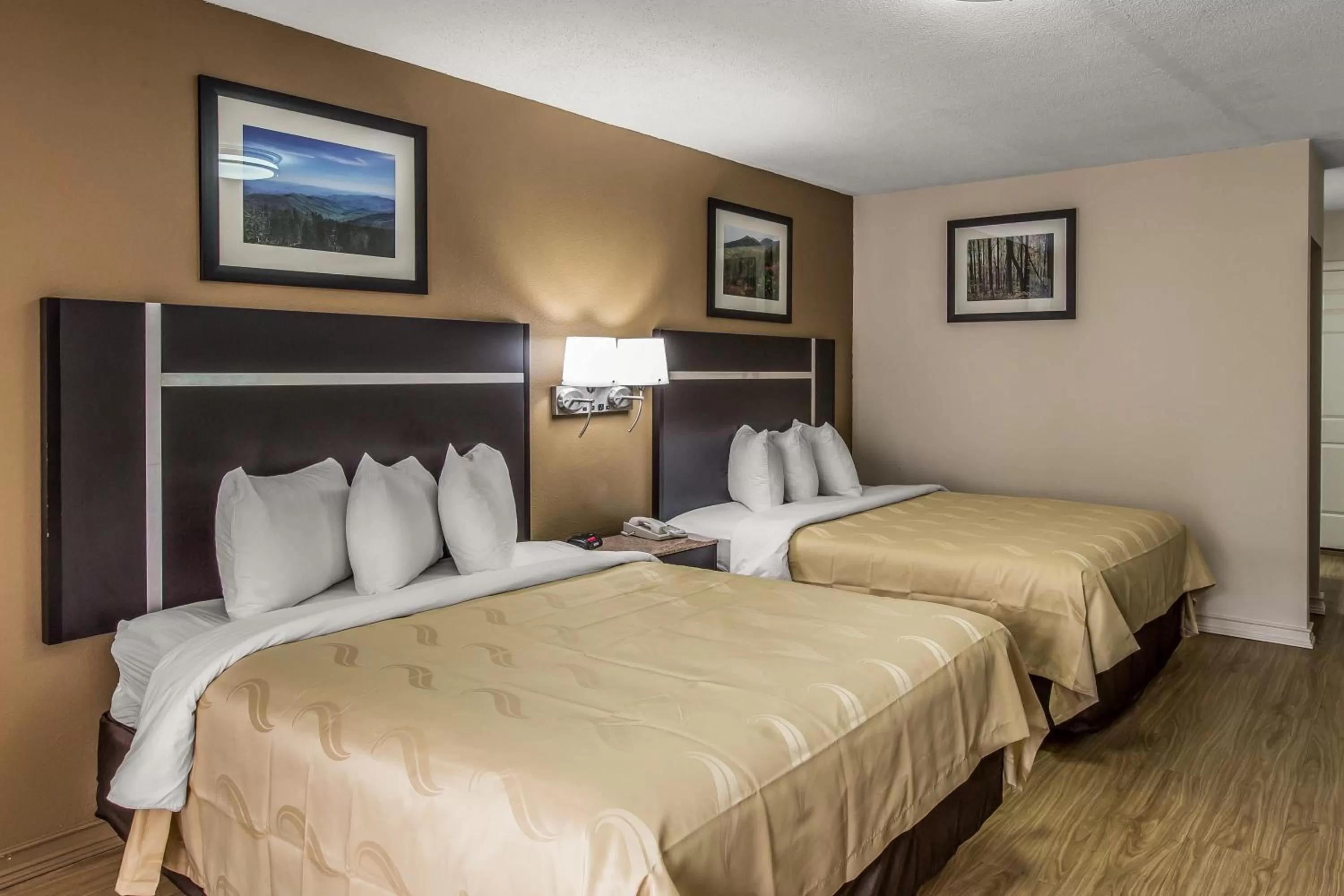 Photo of the whole room, Bed in Quality Inn & Suites Gatlinburg North