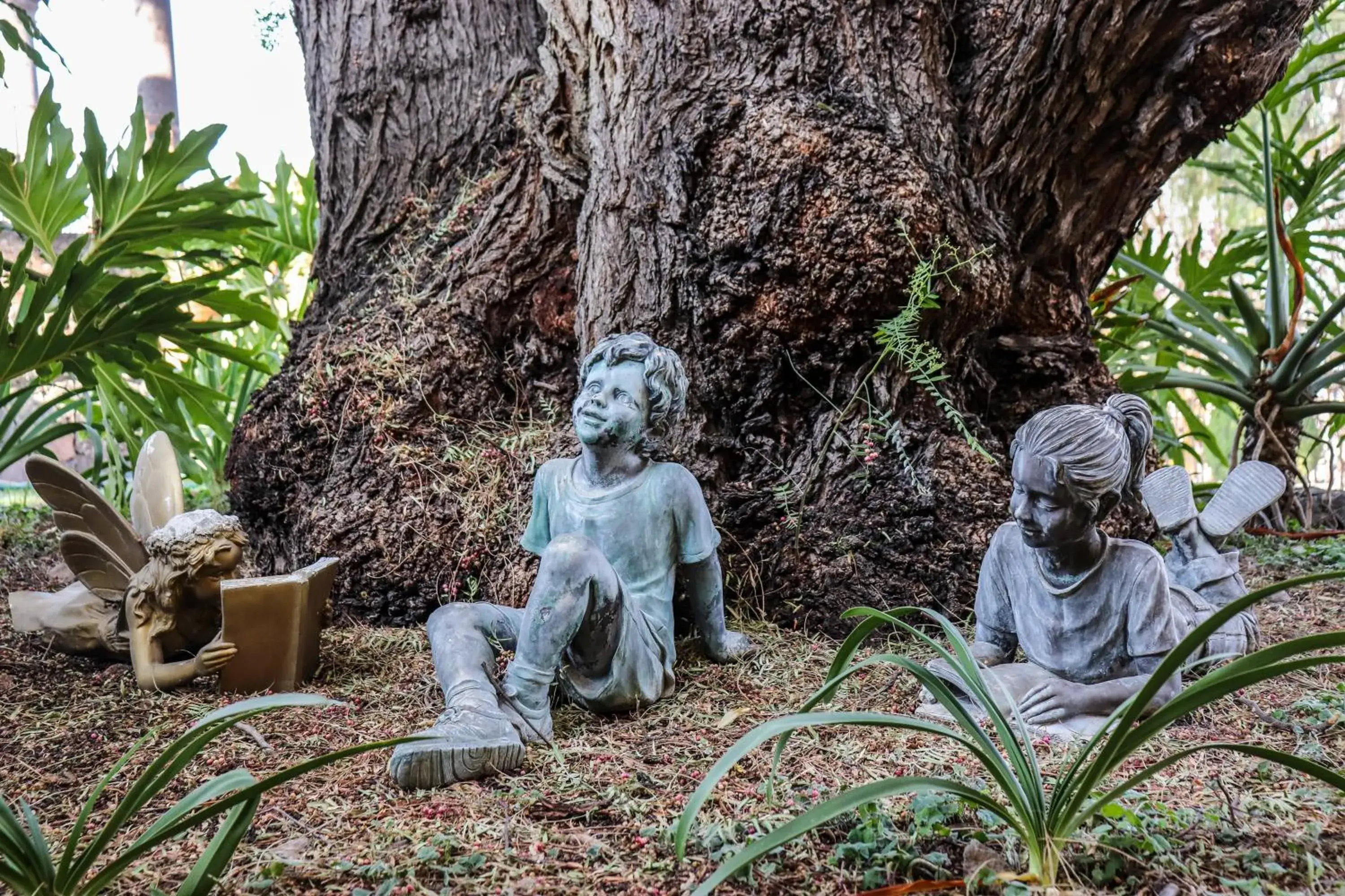 Garden view in Mirador del Frayle