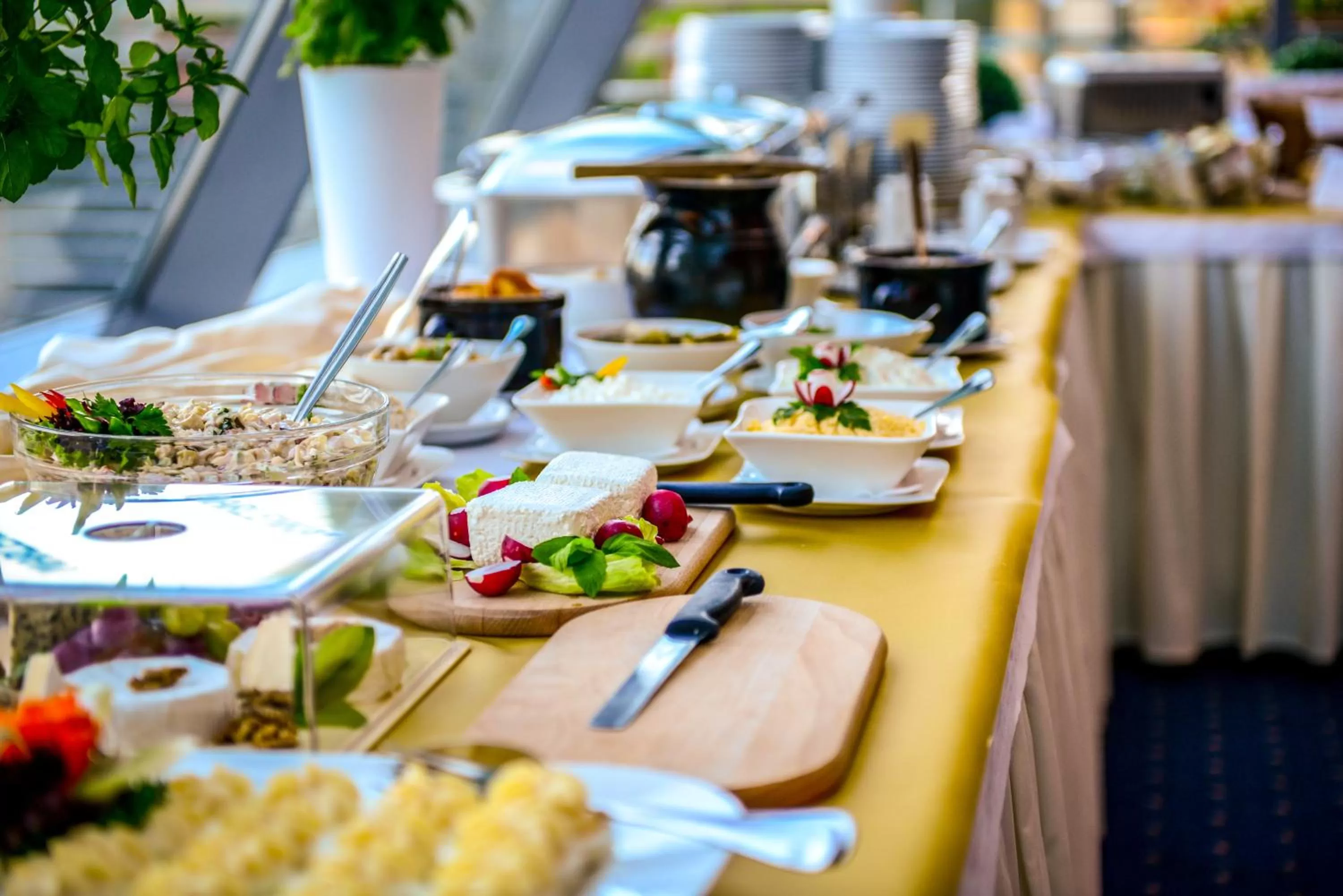 Restaurant/places to eat in Hotel Belweder