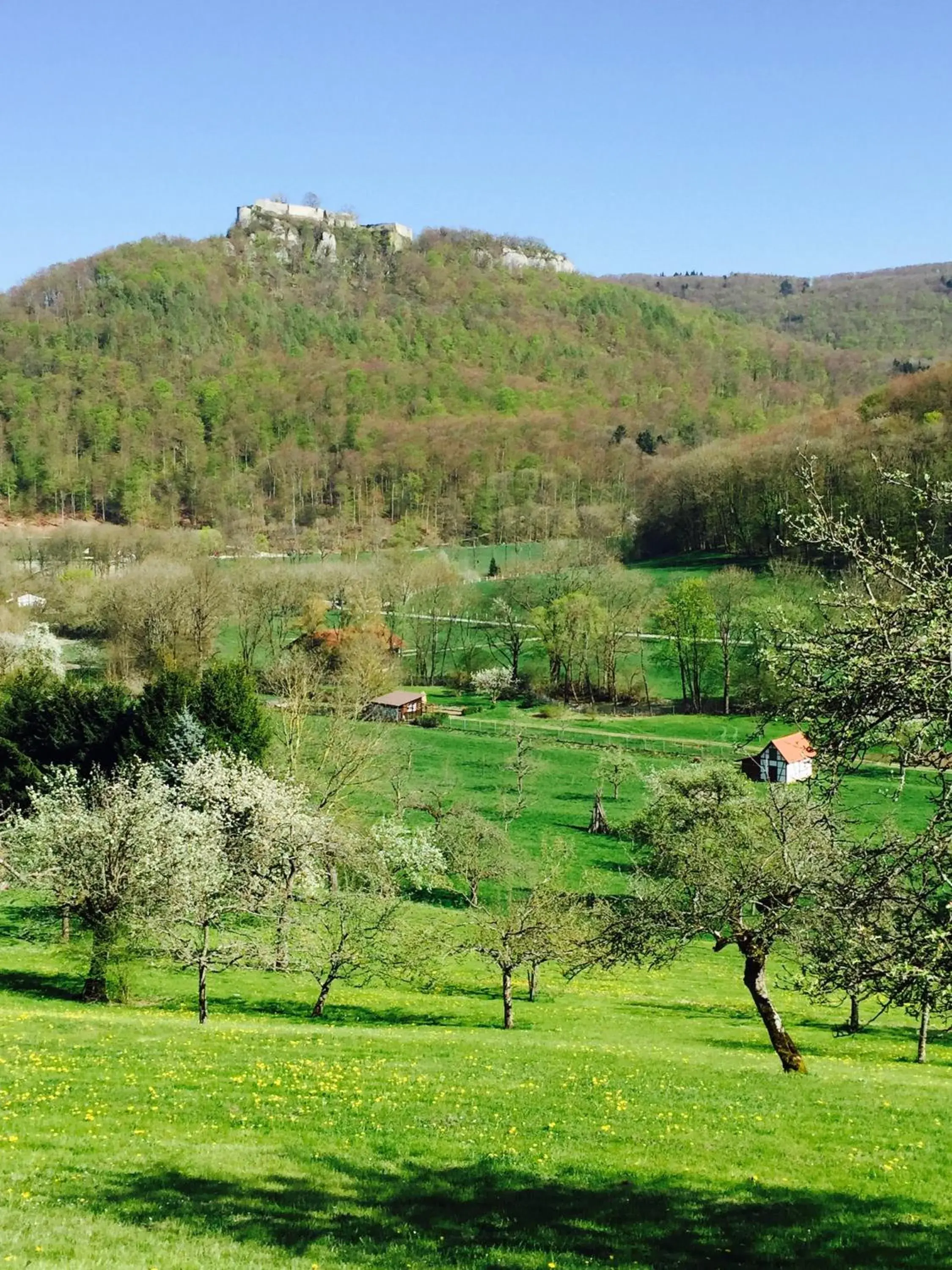 Natural landscape in Flair Hotel Vier Jahreszeiten