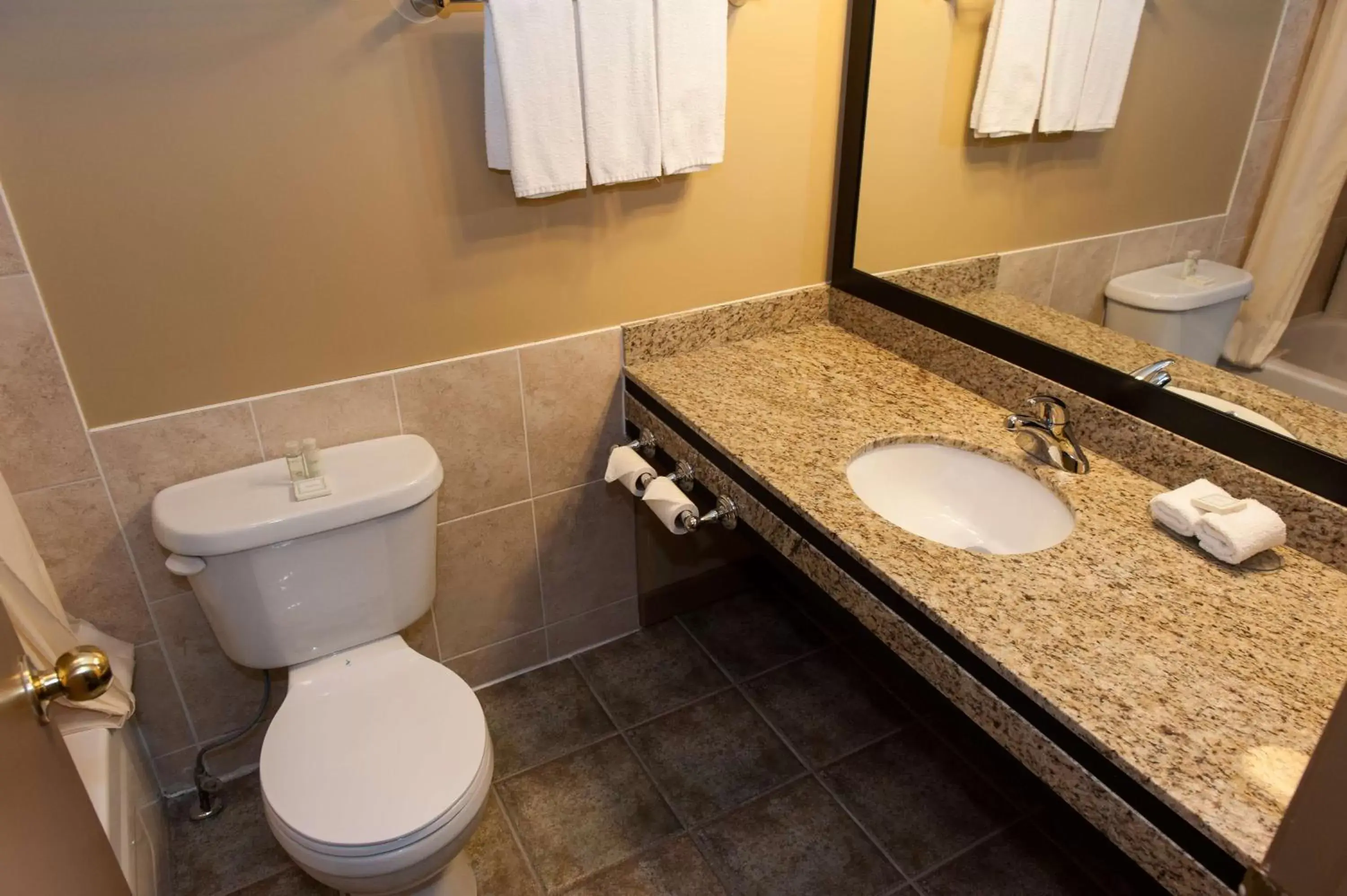 Photo of the whole room, Bathroom in Best Western Maple Ridge