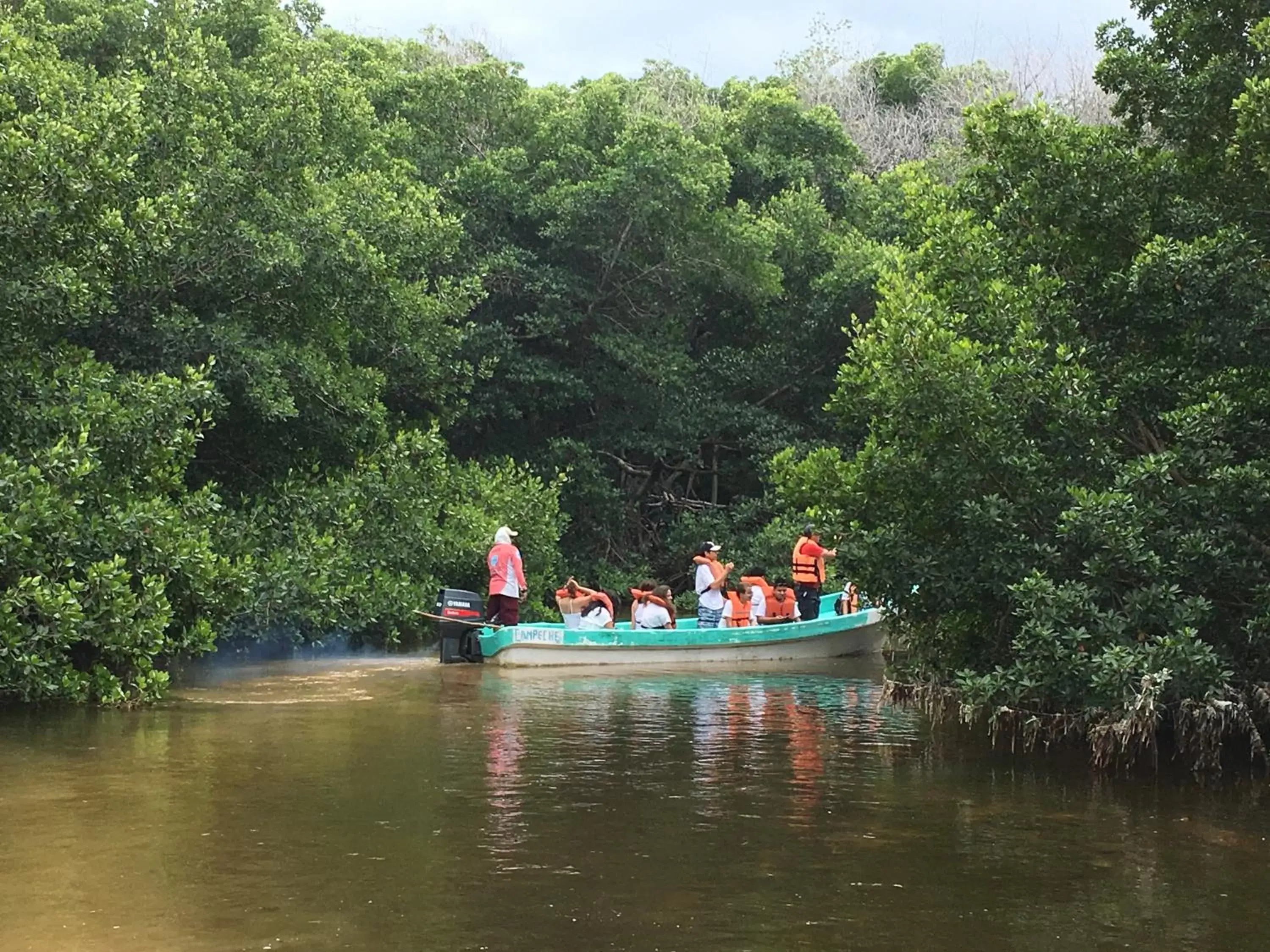 Activities in Mangrove King Fishing Lodge