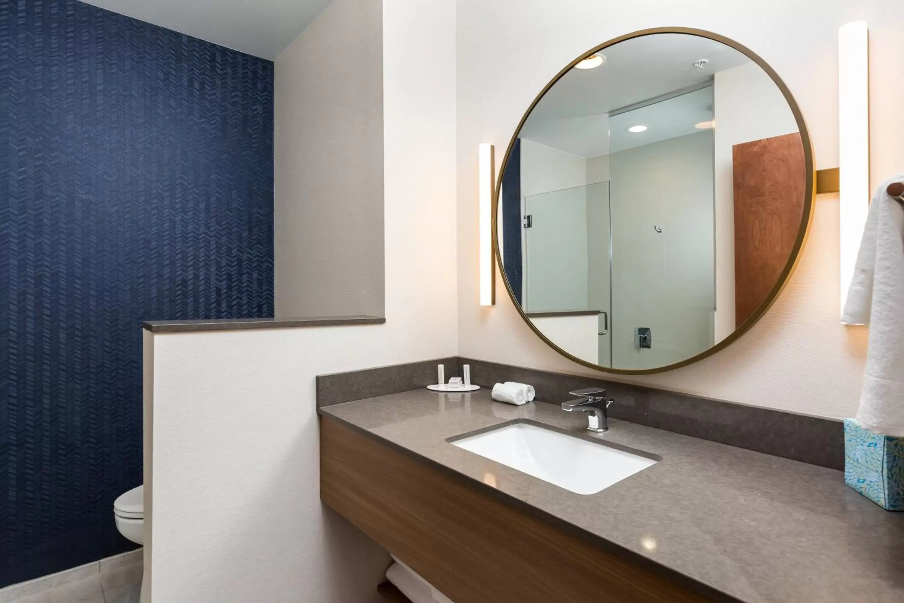 Bathroom in Fairfield Inn & Suites by Marriott Crestview