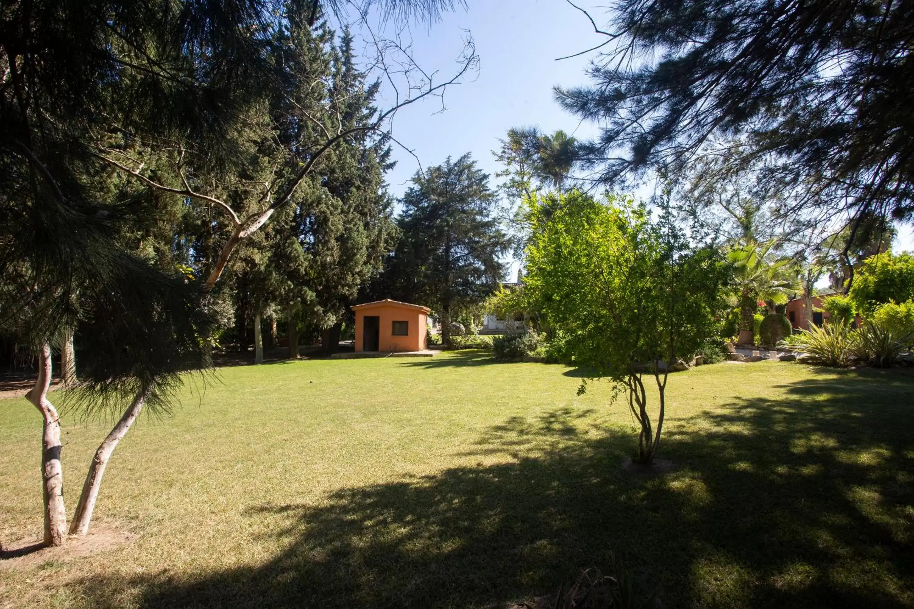 Garden, Property Building in La Casa del Torreón