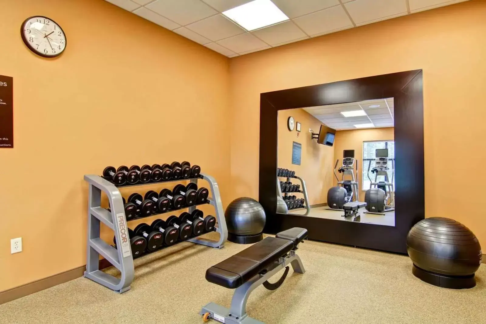 Fitness centre/facilities, Fitness Center/Facilities in Homewood Suites By Hilton Clifton Park