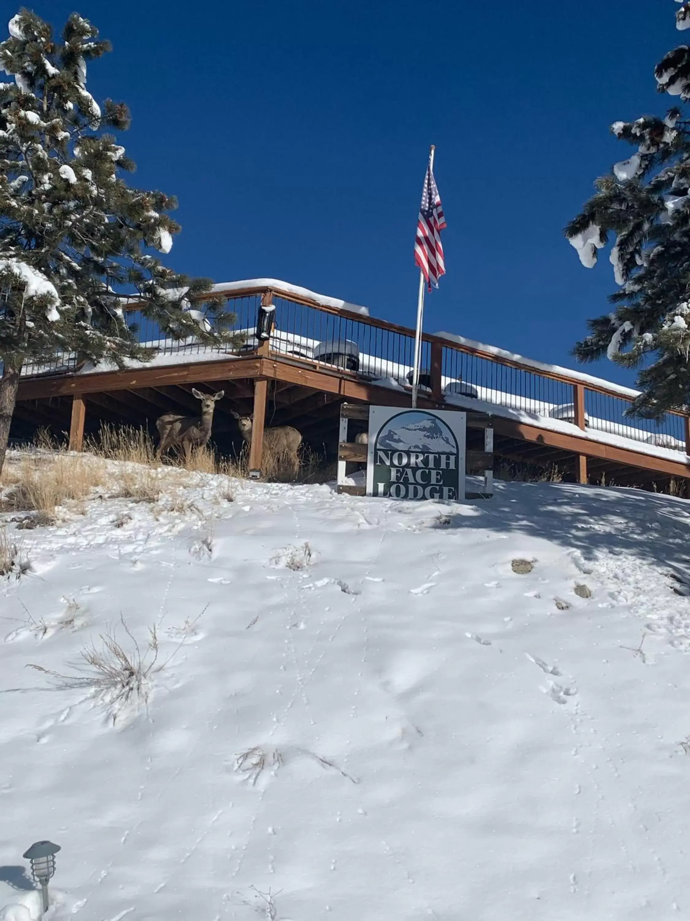 Winter in The North Face Lodge