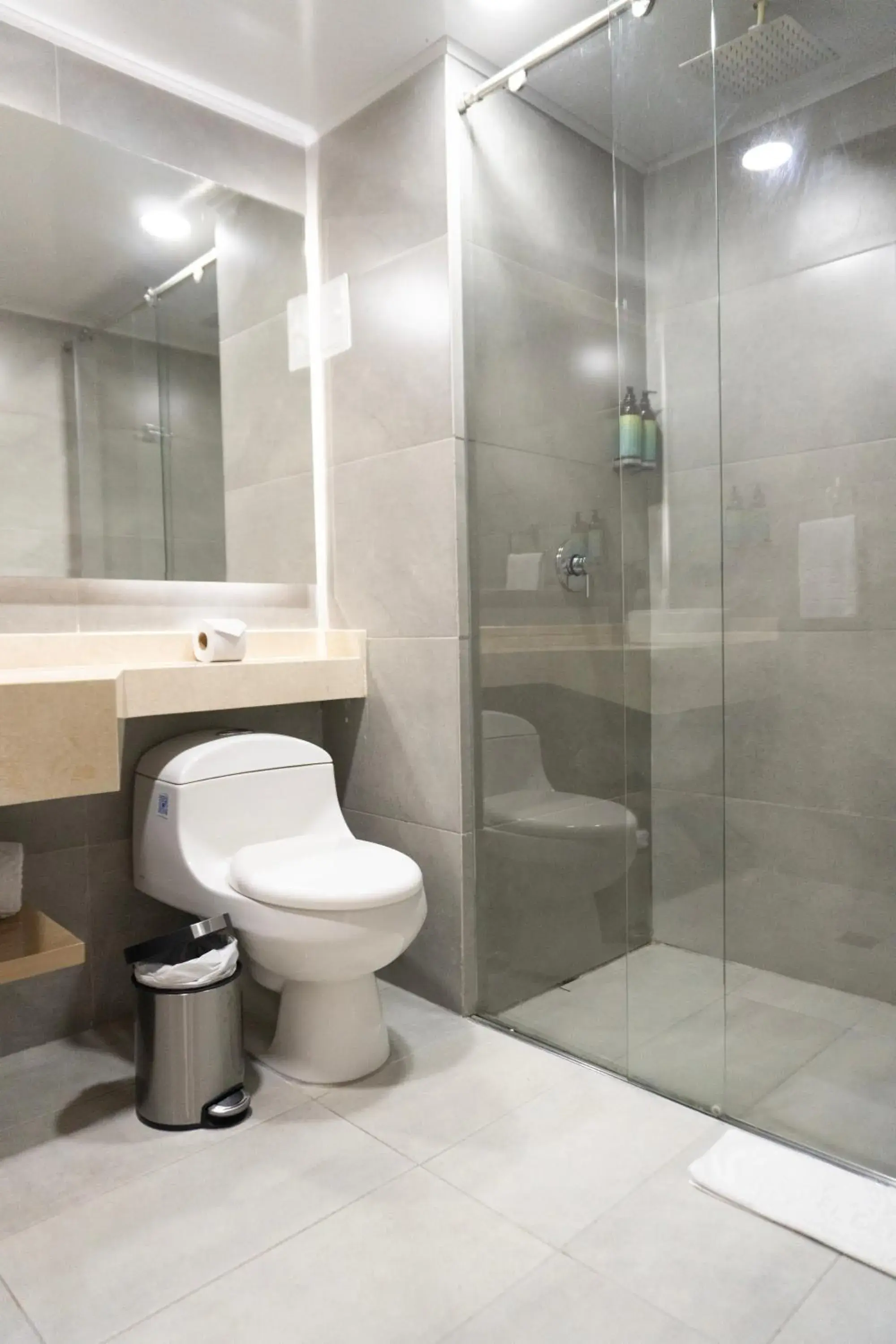 Bathroom in Hotel del Llano