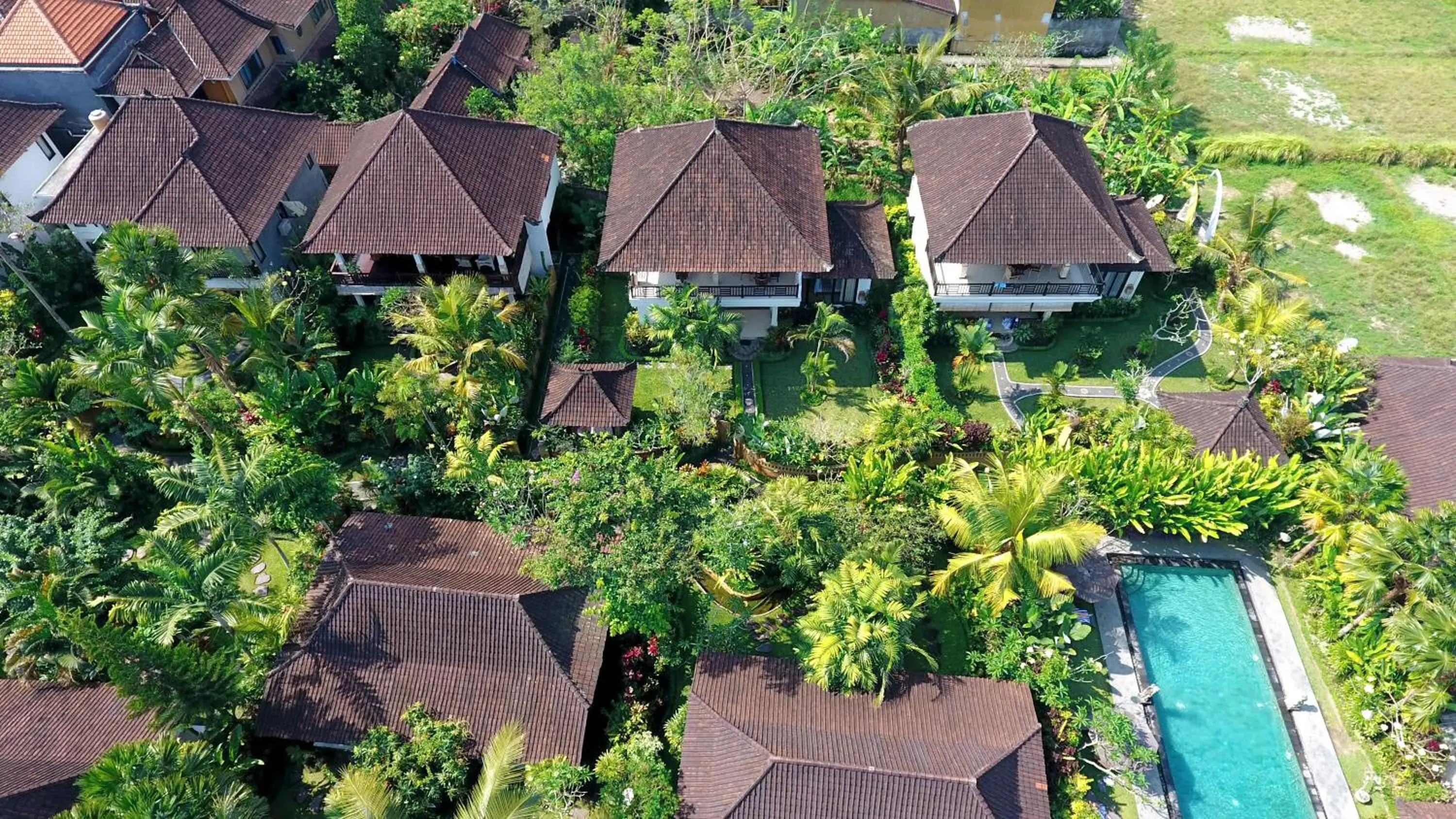 Bird's eye view, Bird's-eye View in Bali Dream Resort Ubud by Mahaputra