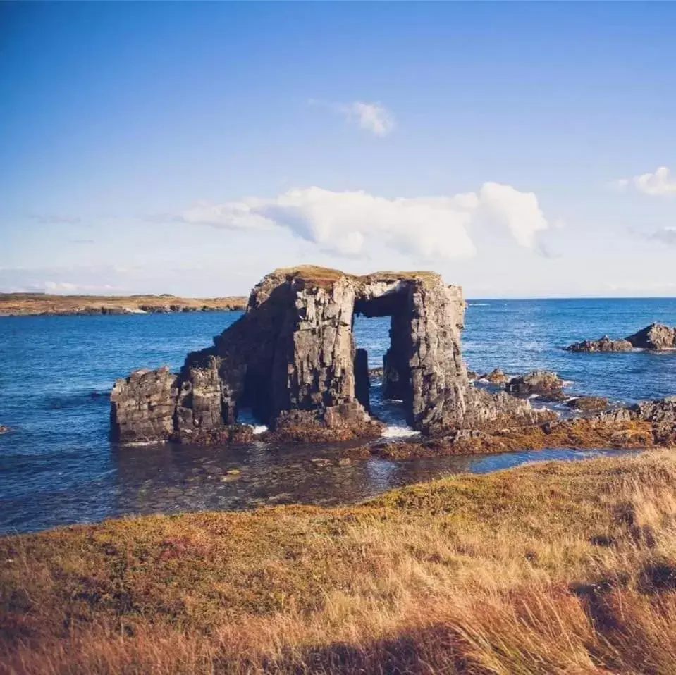 Natural Landscape in The Harbourside Inn & Cafe