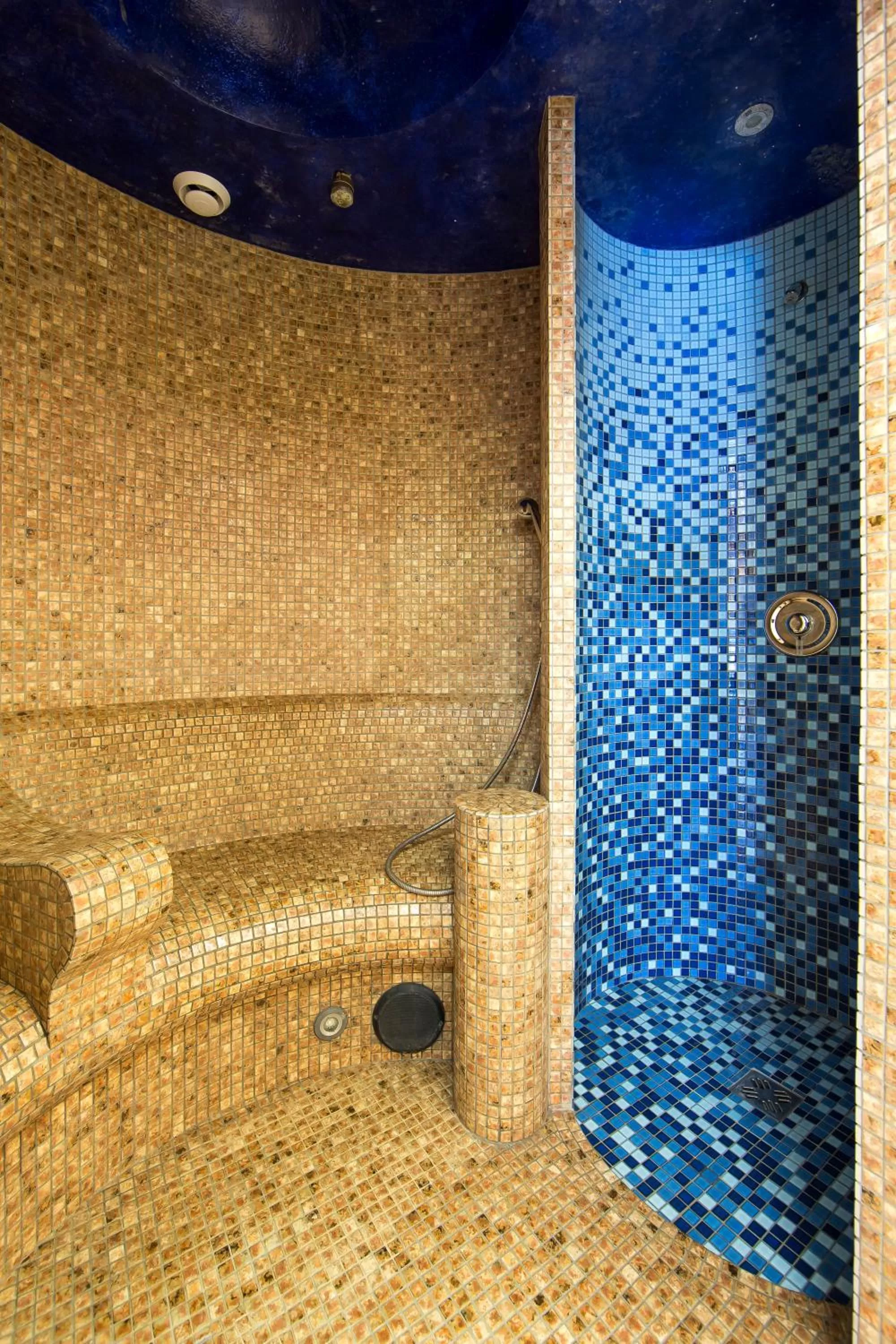 Spa and wellness centre/facilities in Hotel Król Kazimierz