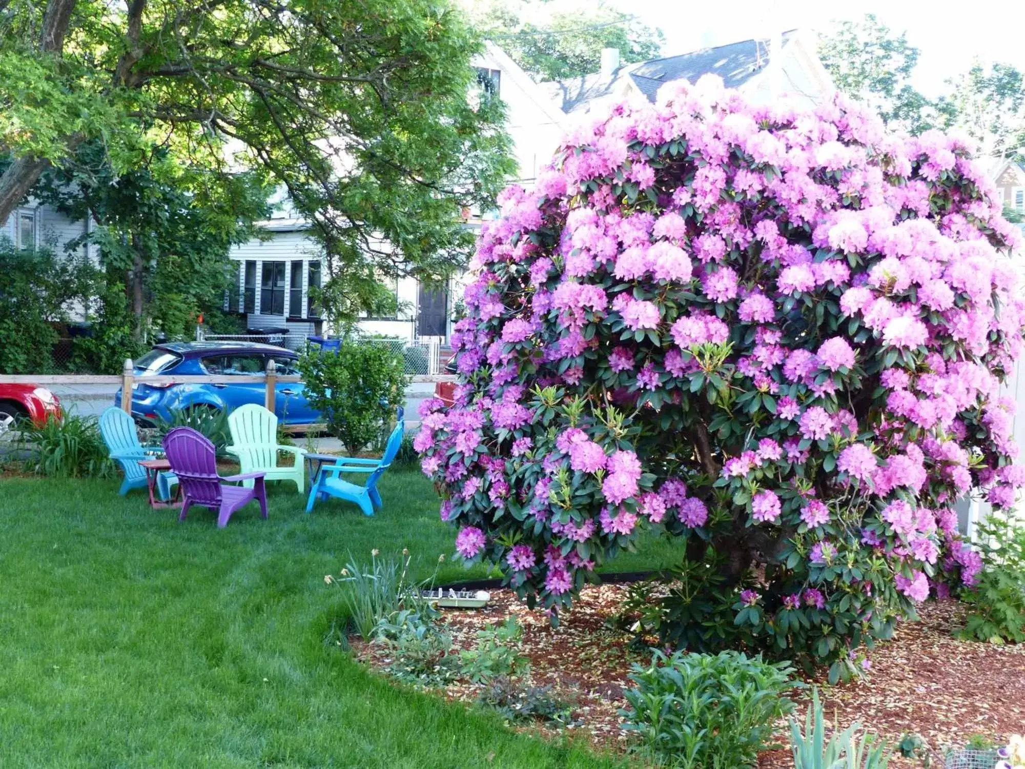 Garden in Davis Square Inn