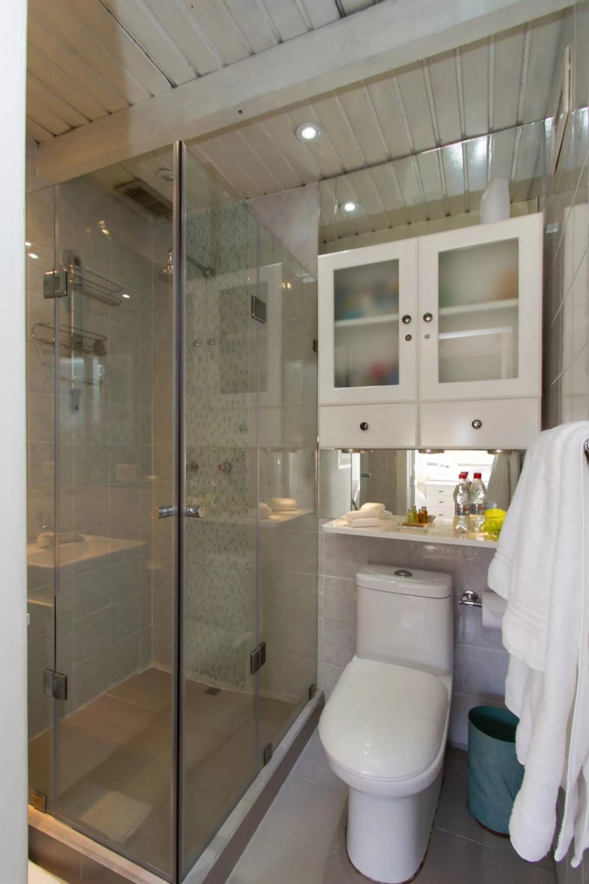 Bathroom in The Penthouse Lodge