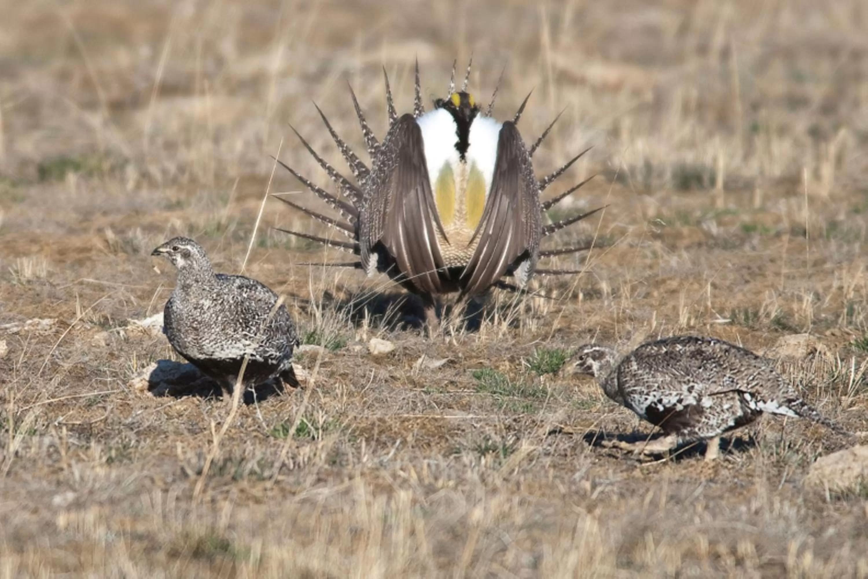 Nearby landmark in Candlewood Suites Craig-Northwest by IHG